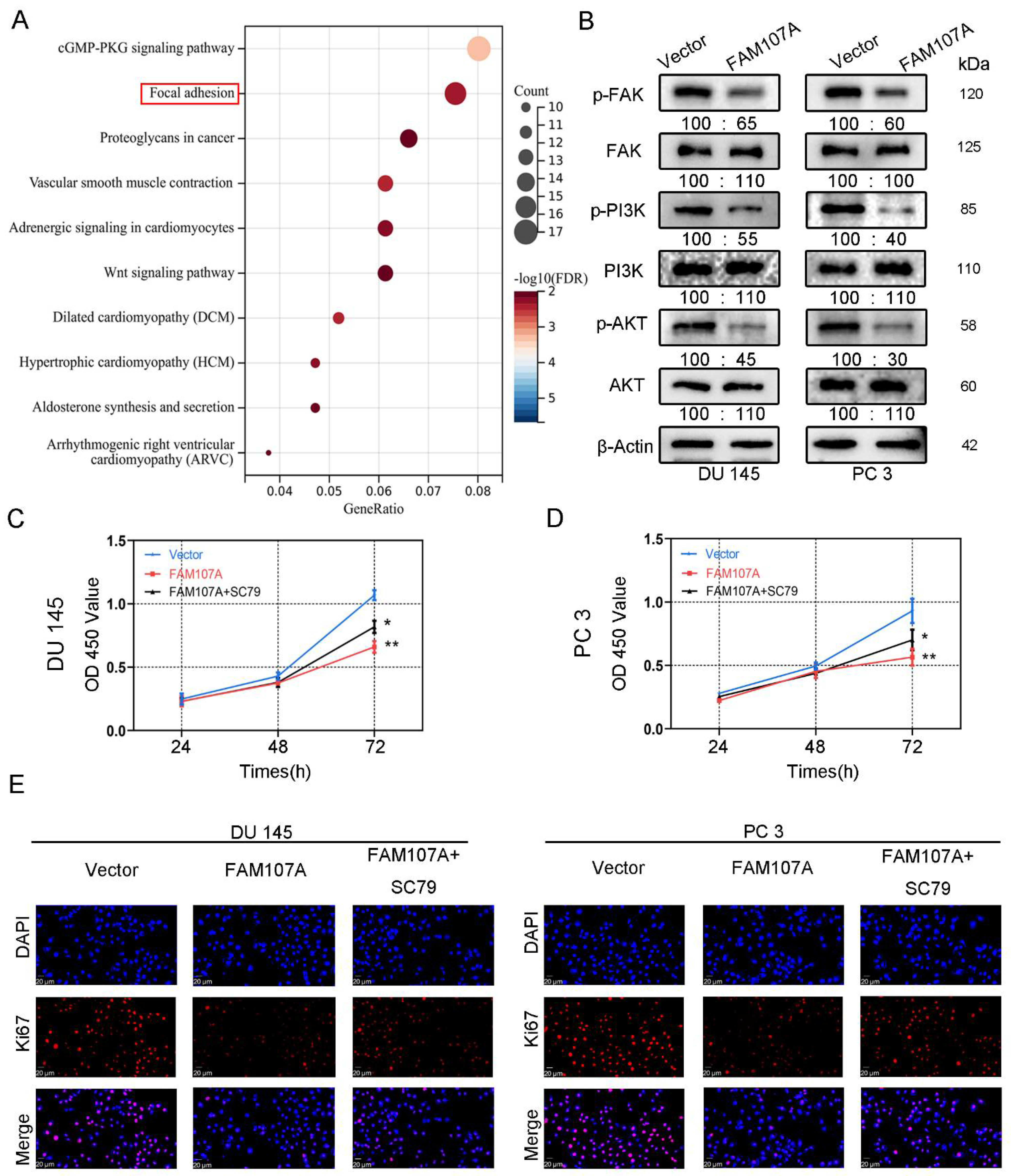 Cancers 14 03915 g007