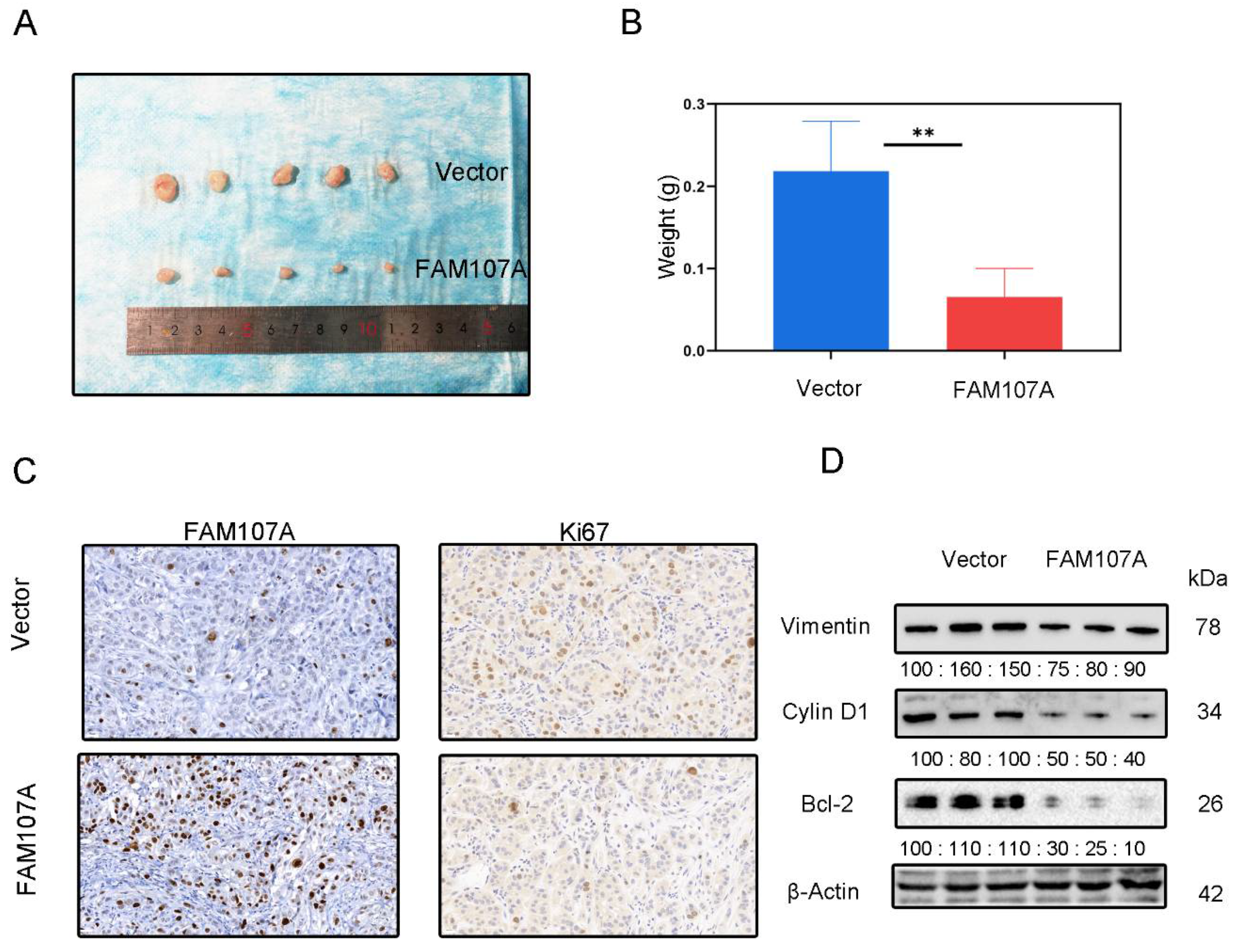 Cancers 14 03915 g009
