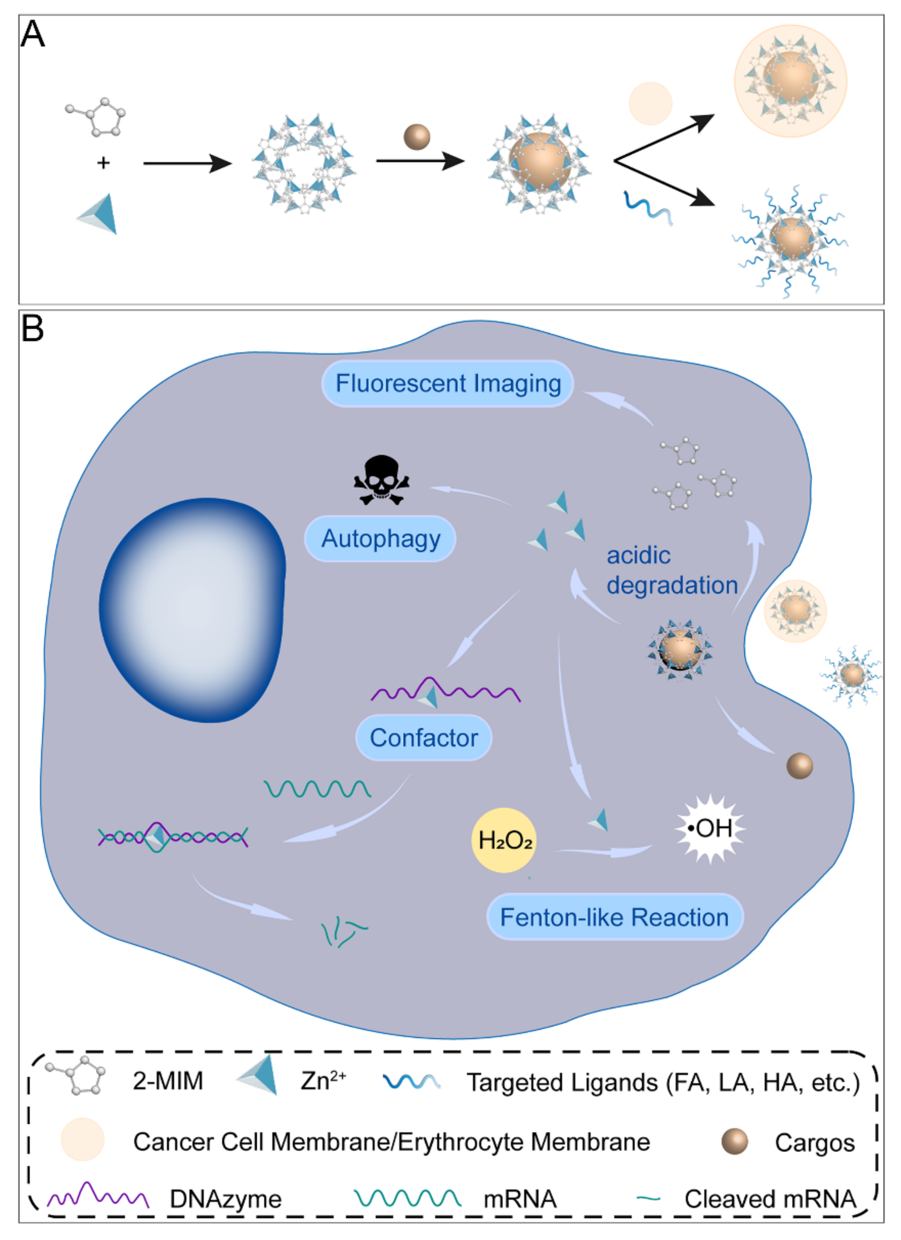 Current status and prospect of ZIF-based materials for breast