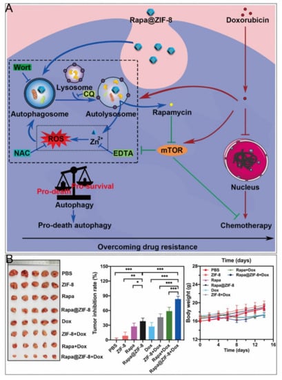 Current status and prospect of ZIF-based materials for breast