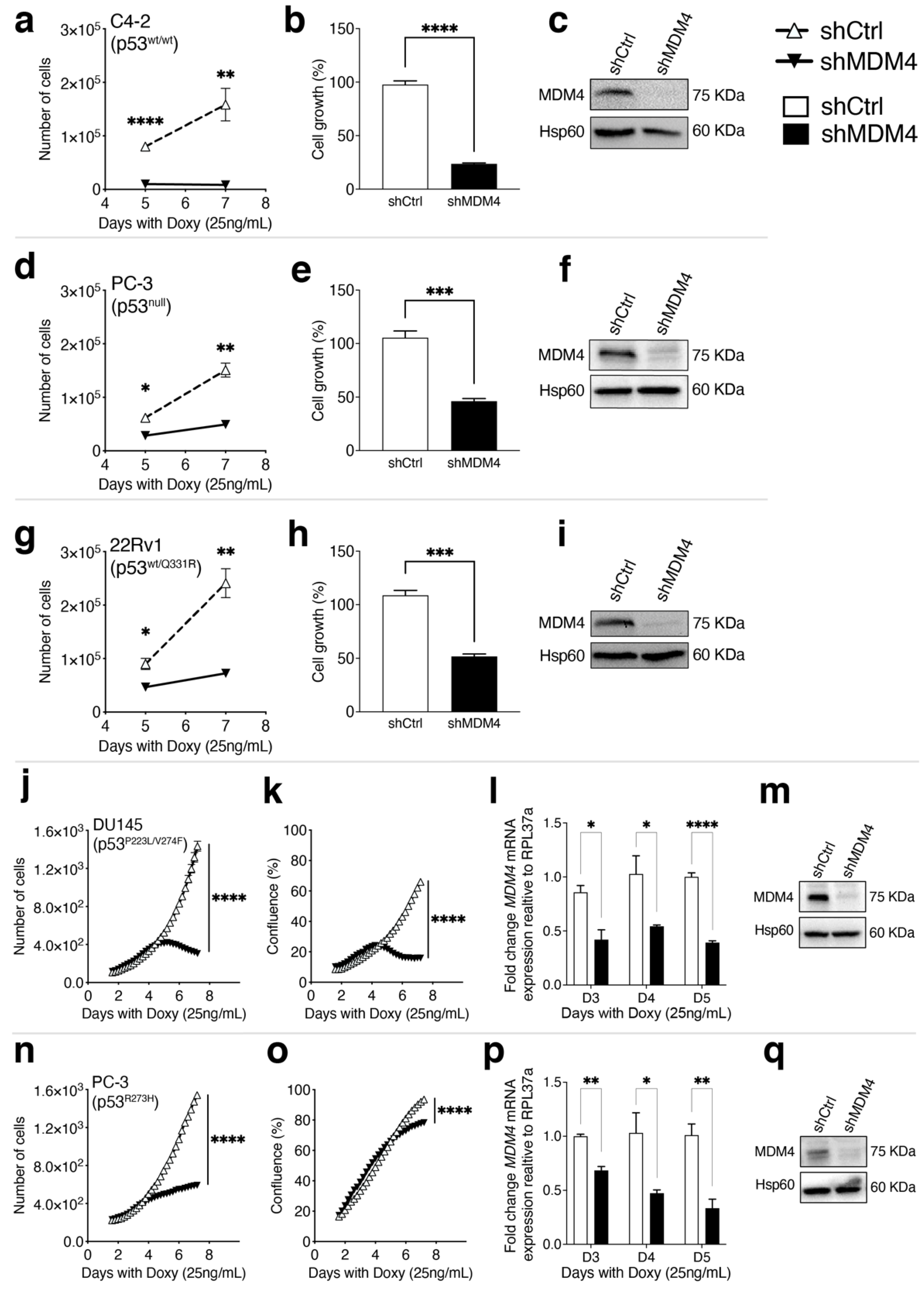 Cancers 14 03947 g002
