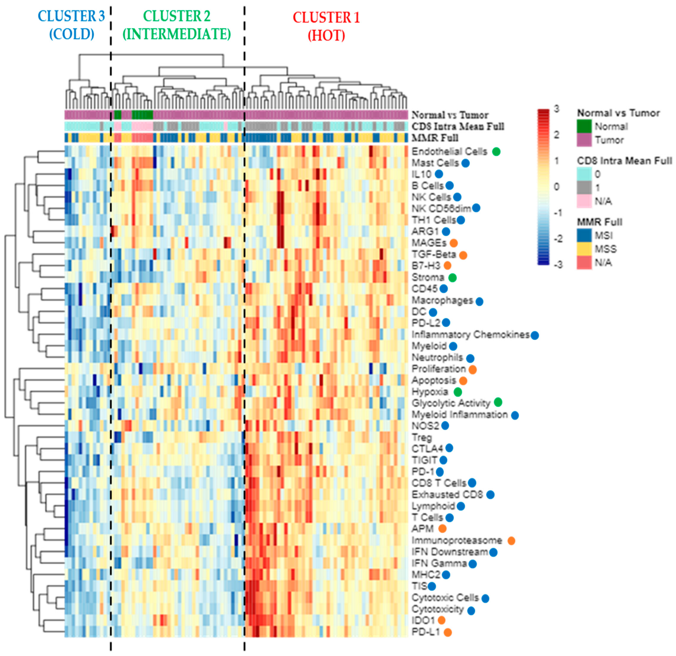 Cancers Free Full Text Tumor Antigenicity and a Pre Existing