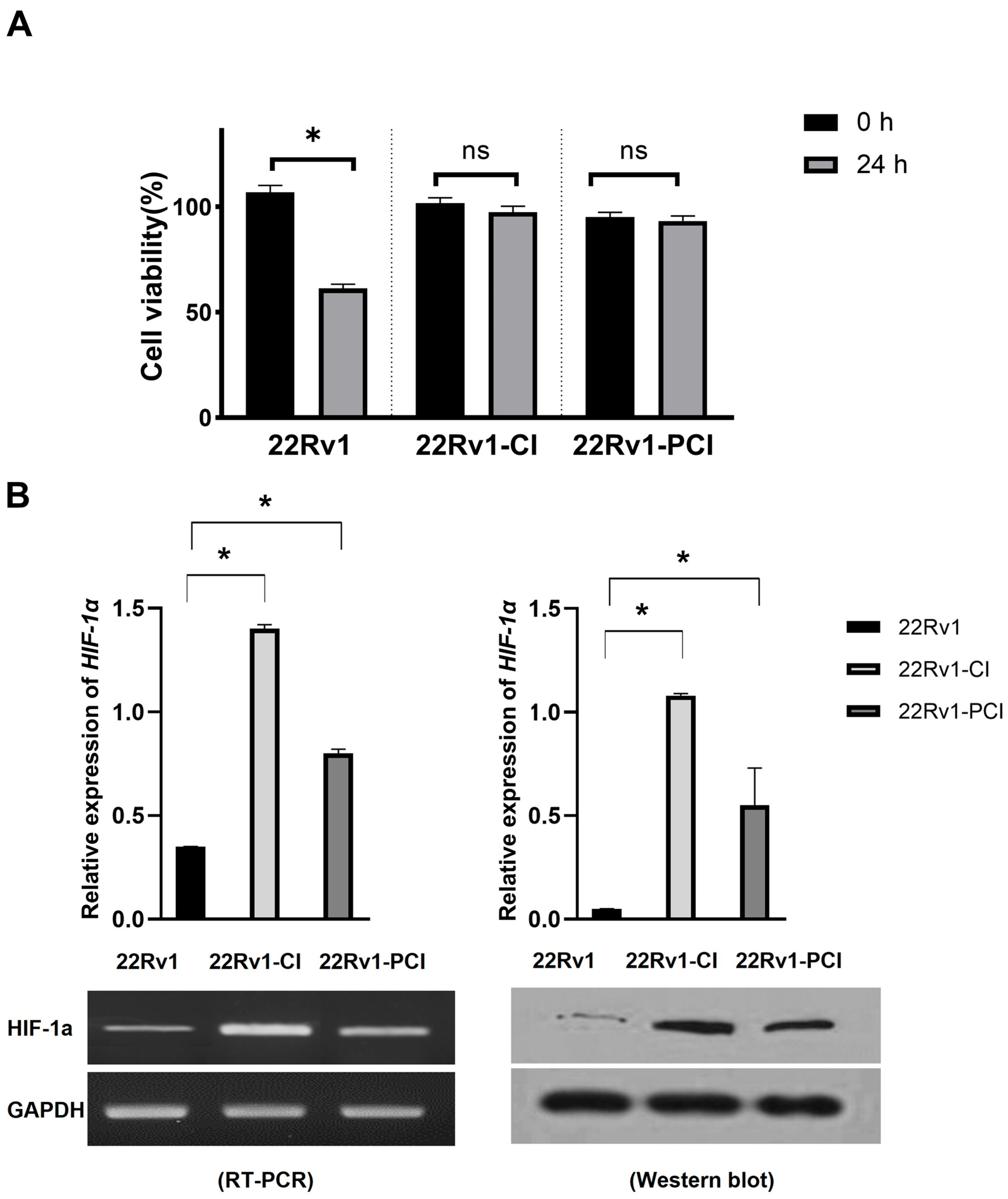 Cancers 14 03959 g001