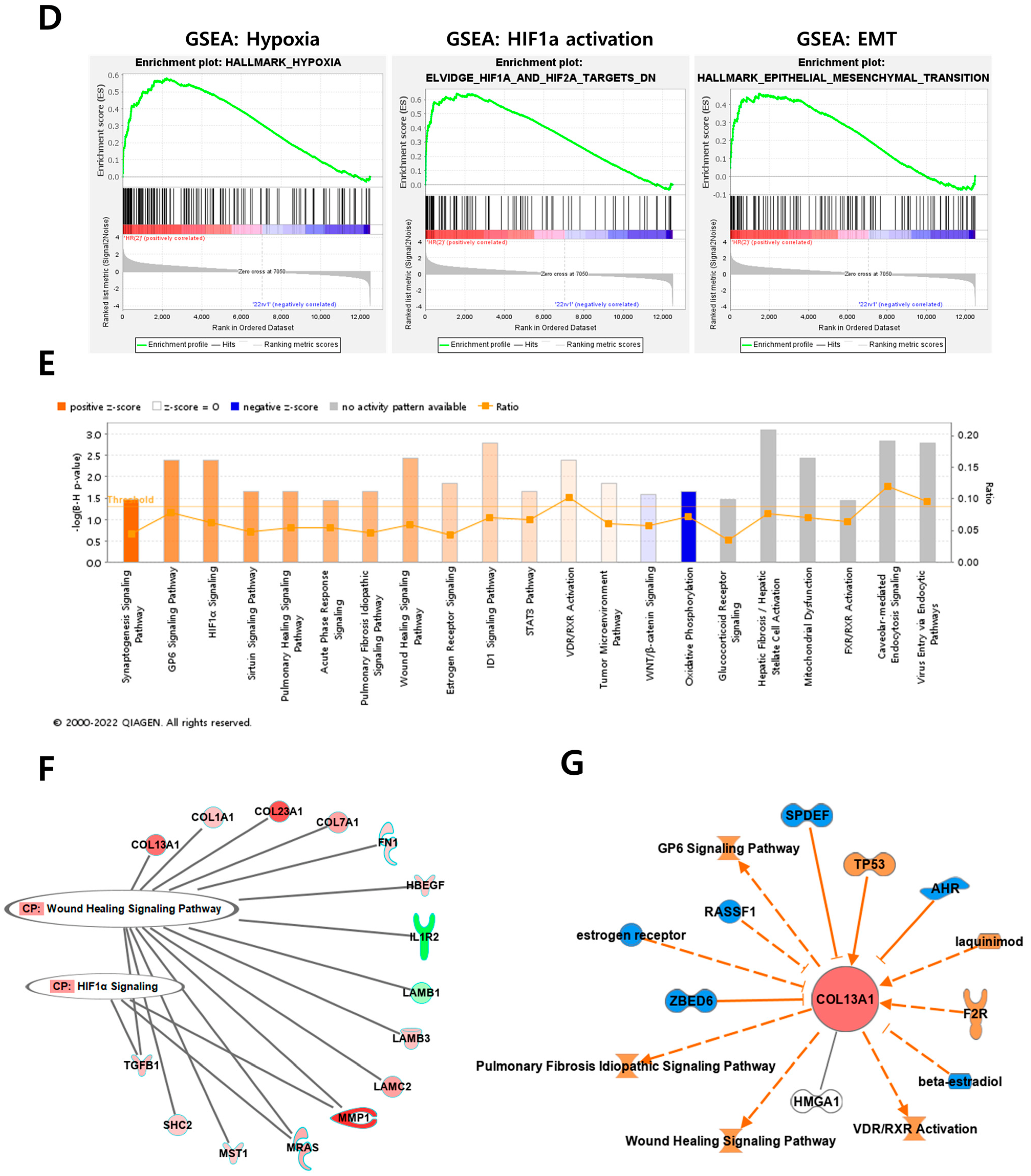 Cancers 14 03959 g002b