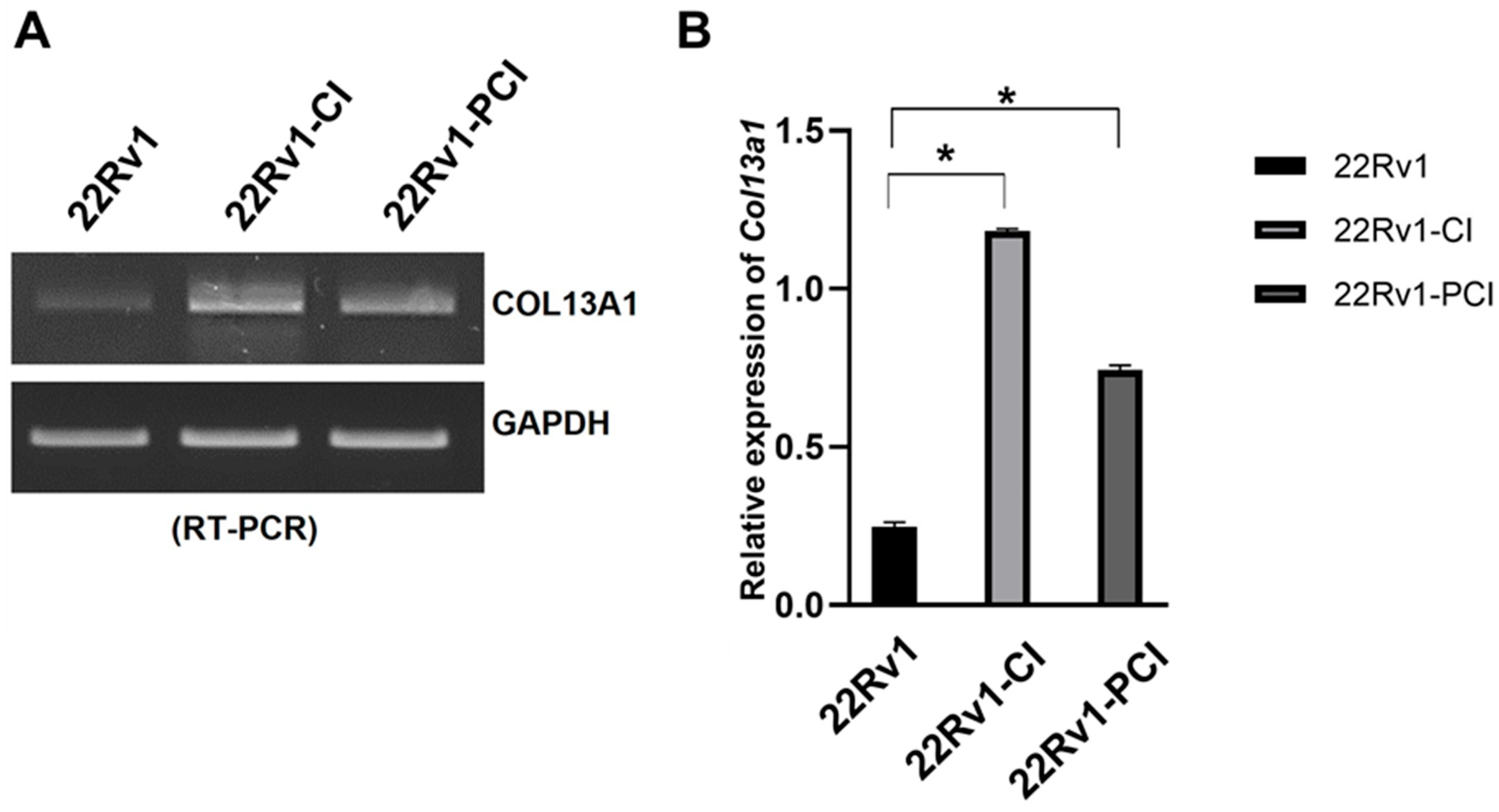 Cancers 14 03959 g004