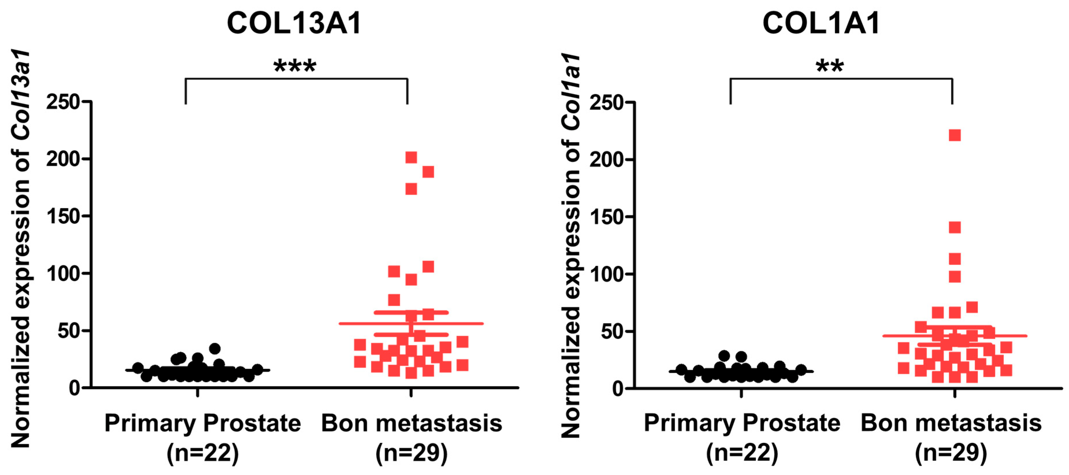 Cancers 14 03959 g007