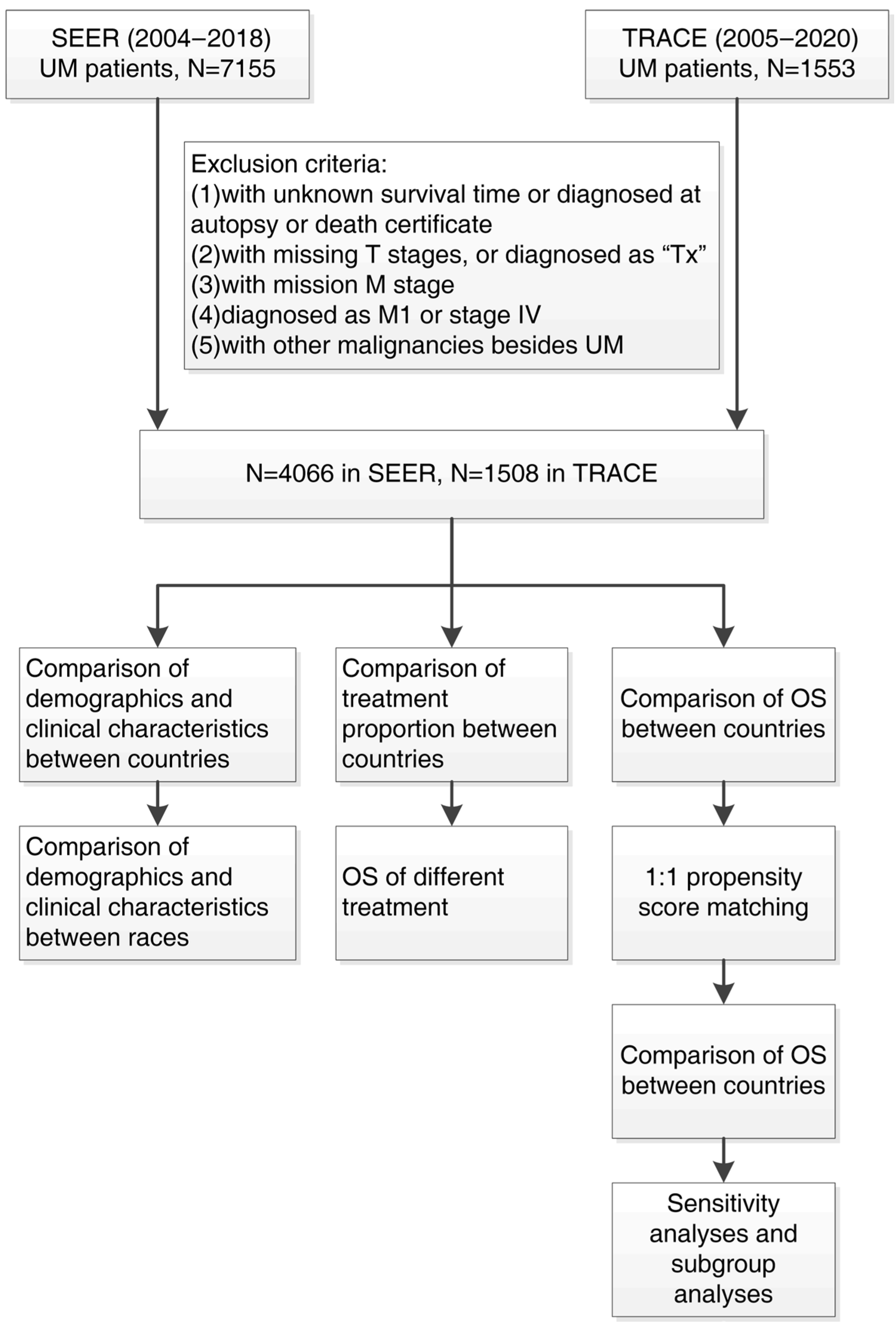 Cancers 14 03960 g001