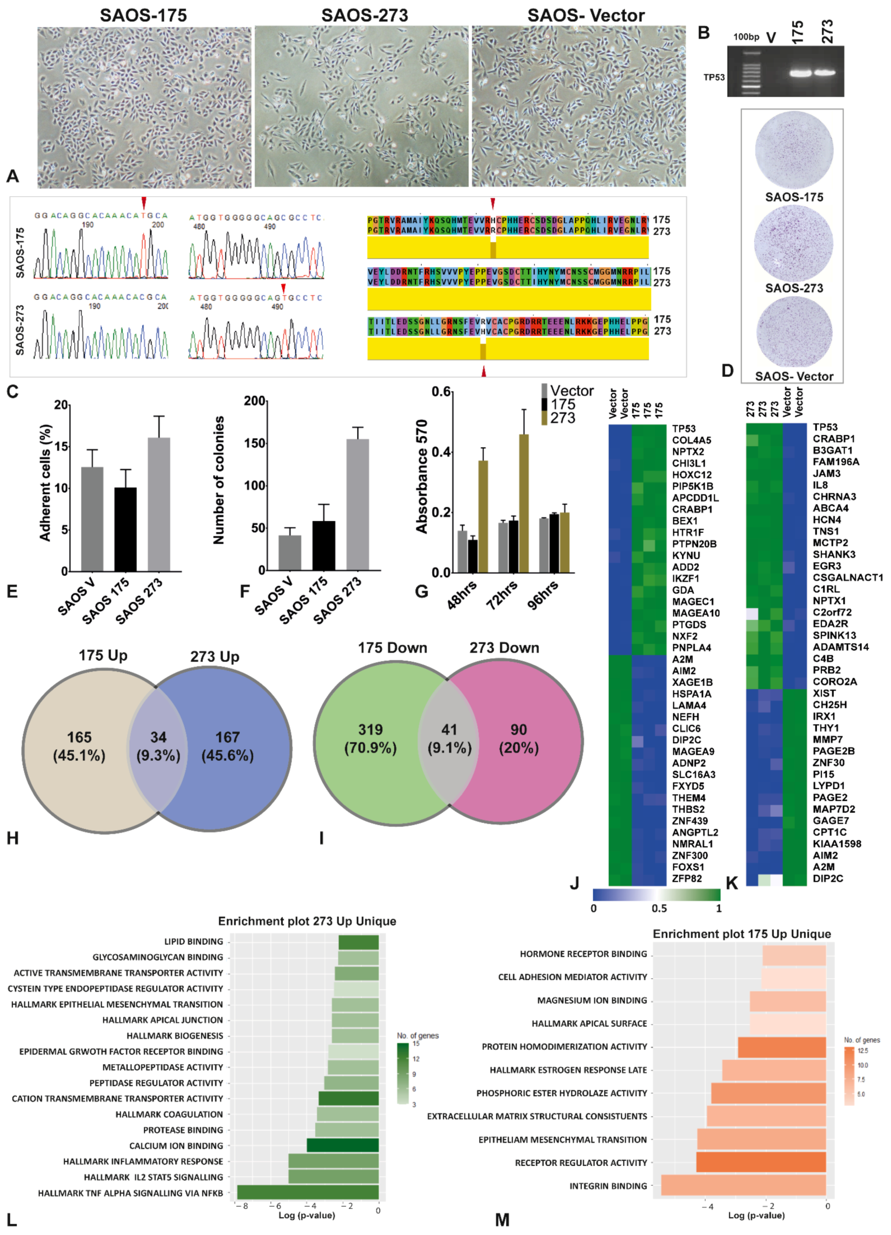 Cancers 14 03975 g001