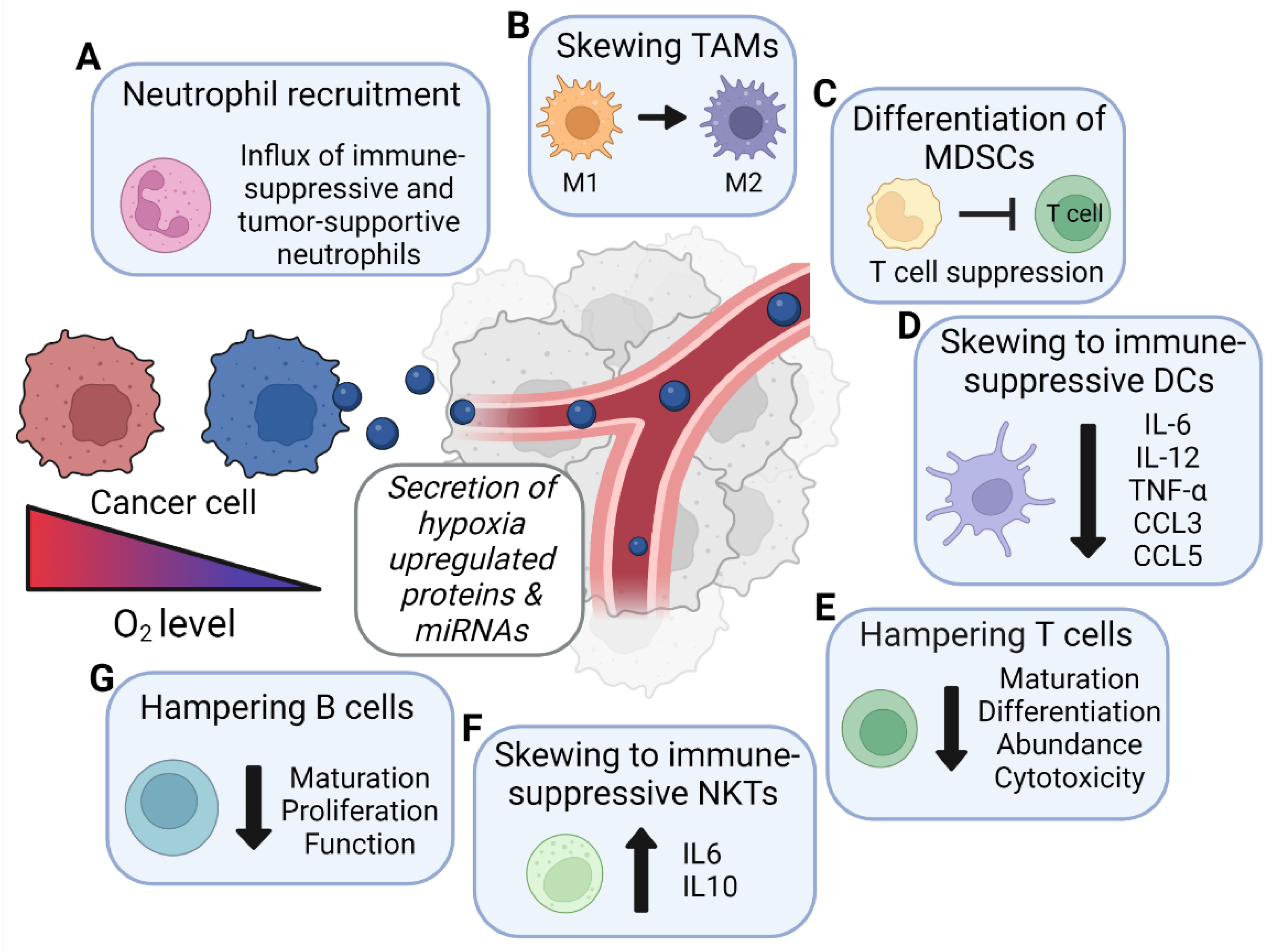 Cancers 14 04001 g002