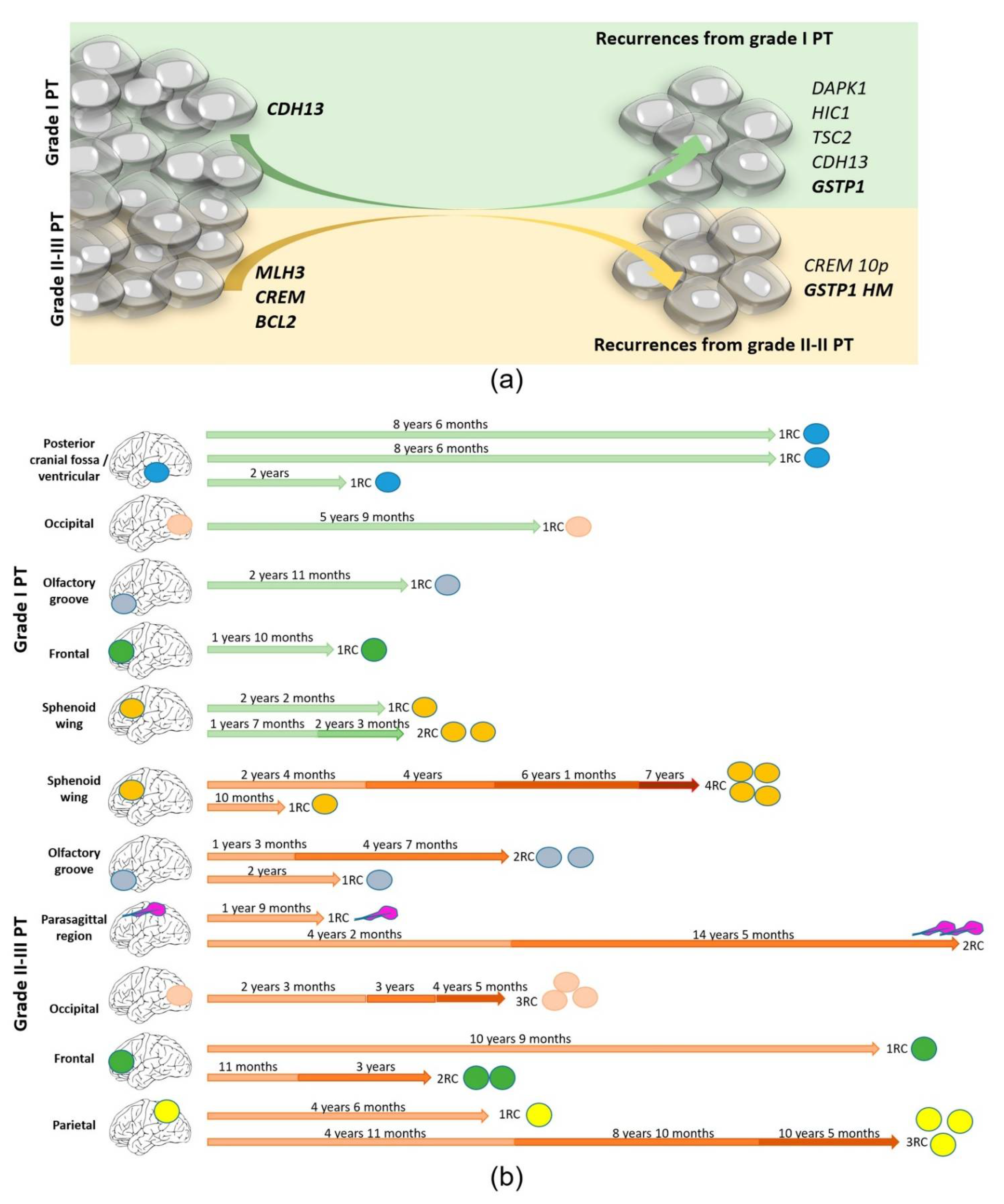 Cancers 14 04008 g002