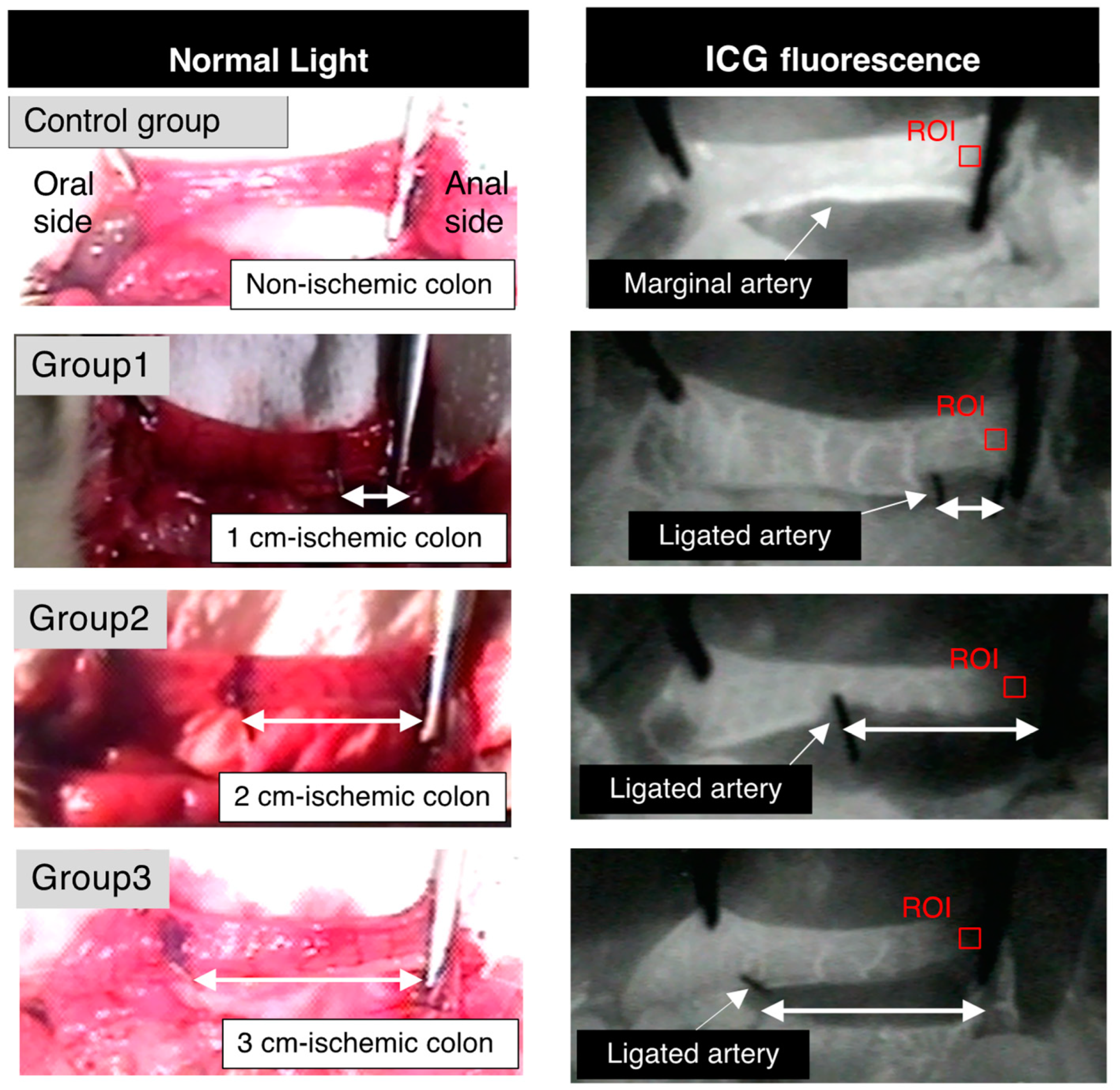 Cancers 14 04024 g002