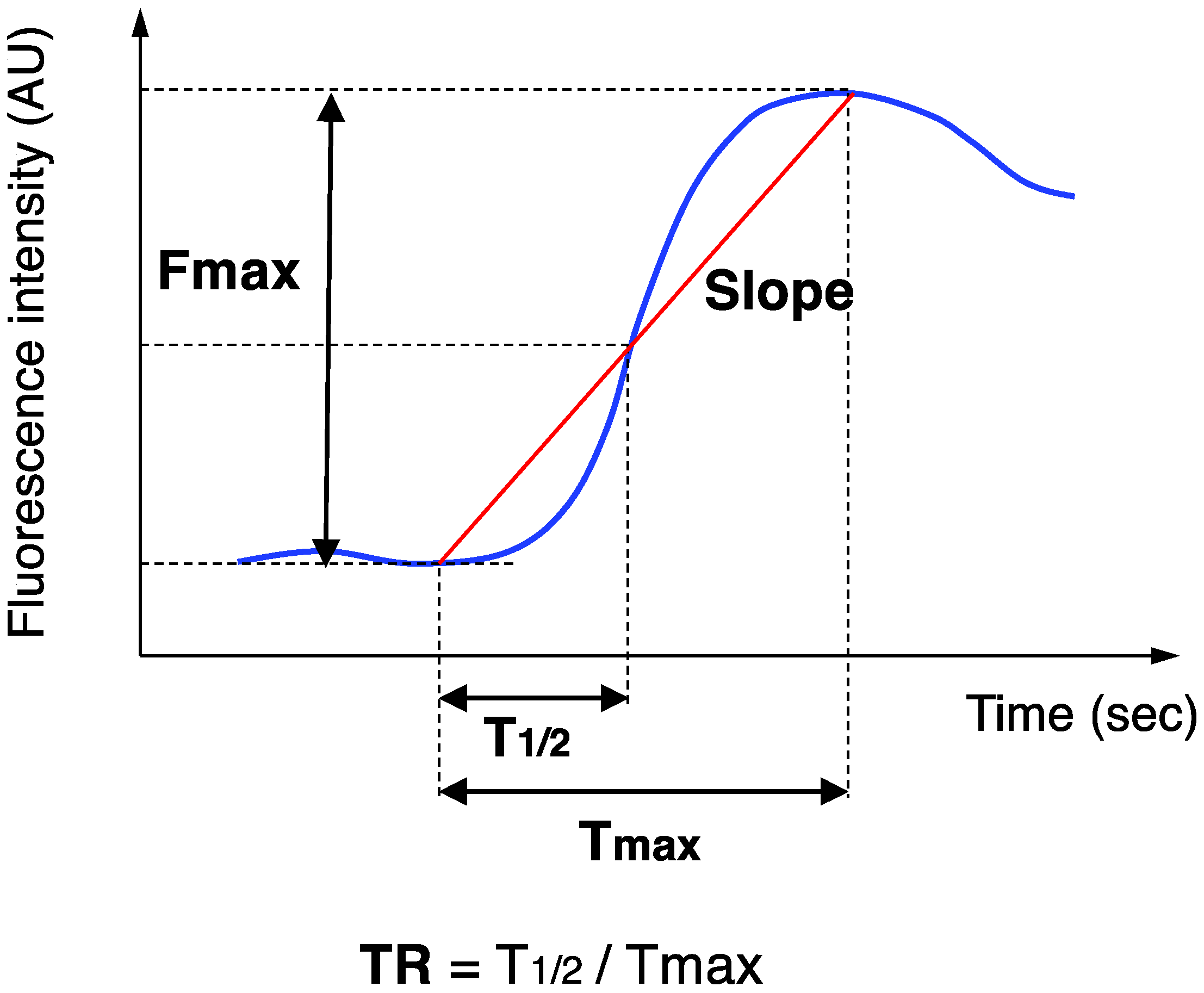 Cancers 14 04024 g003