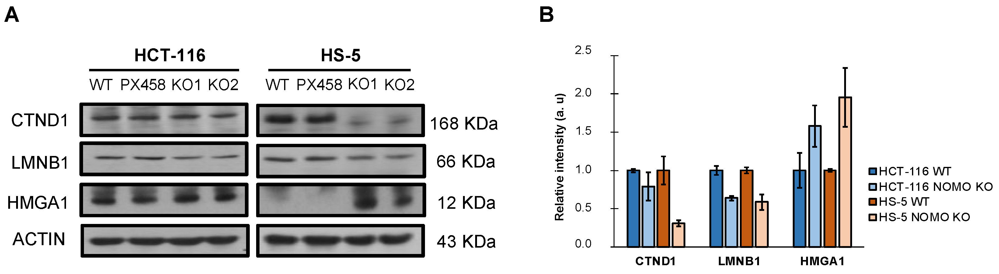Cancers 14 04029 g005