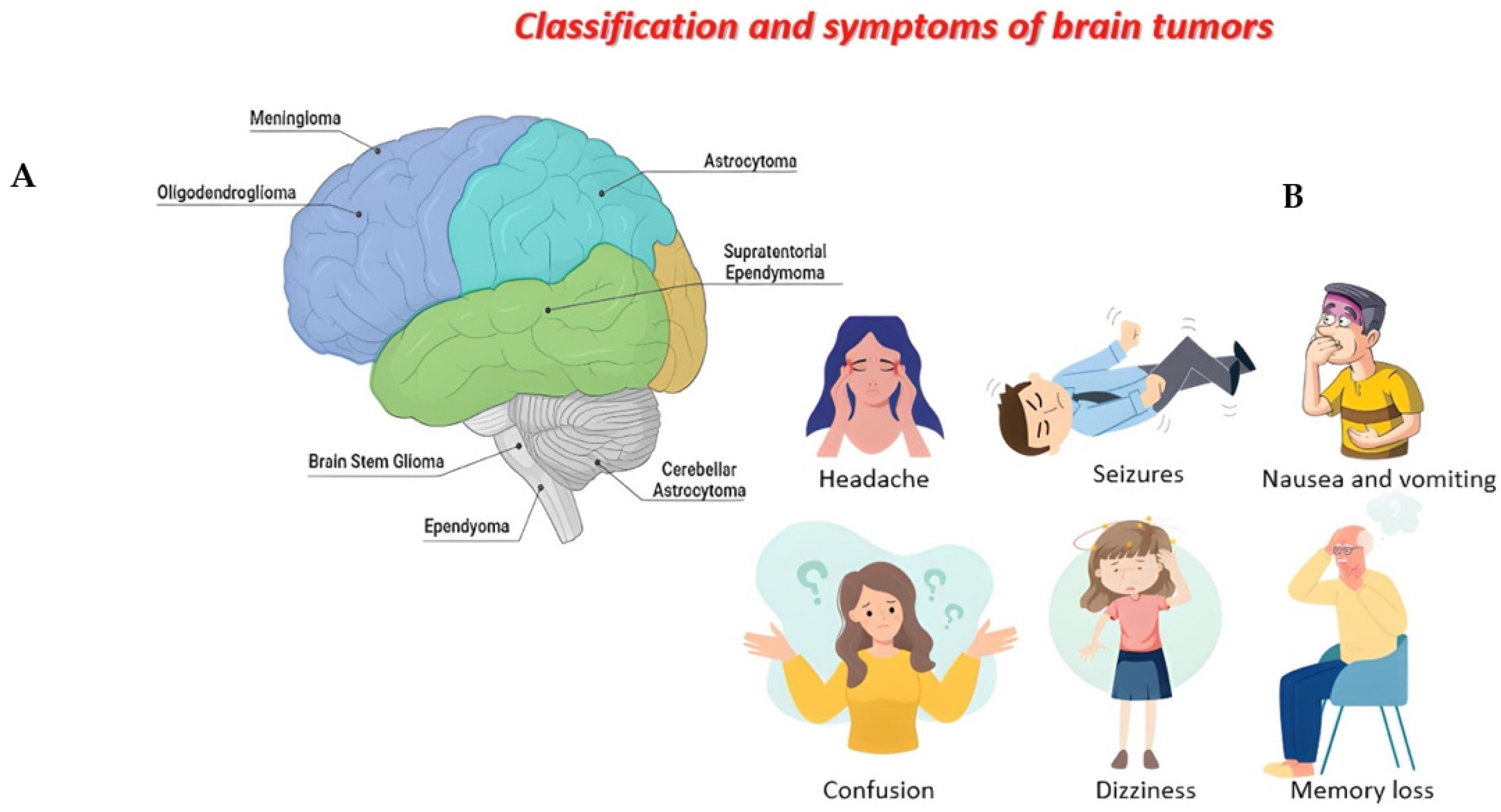 Cancers 14 04032 g001 Cancers 14 04032 g001