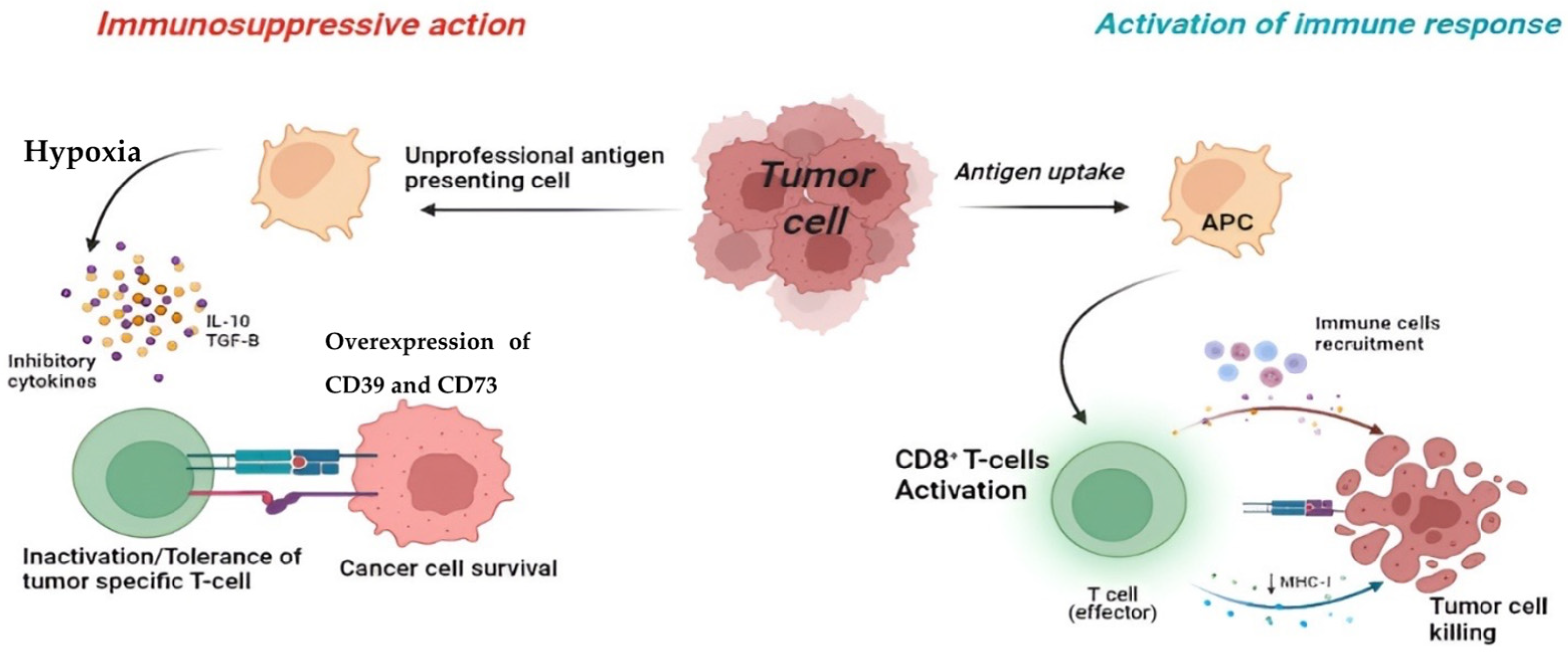 Cancers 14 04032 g003 Cancers 14 04032 g003