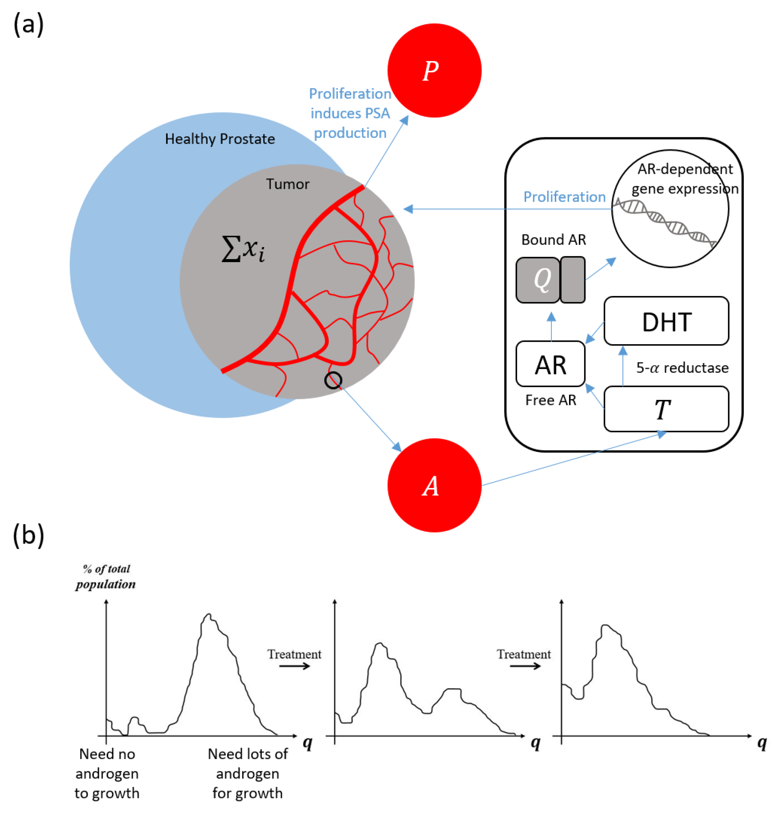 Cancers 14 04033 g001