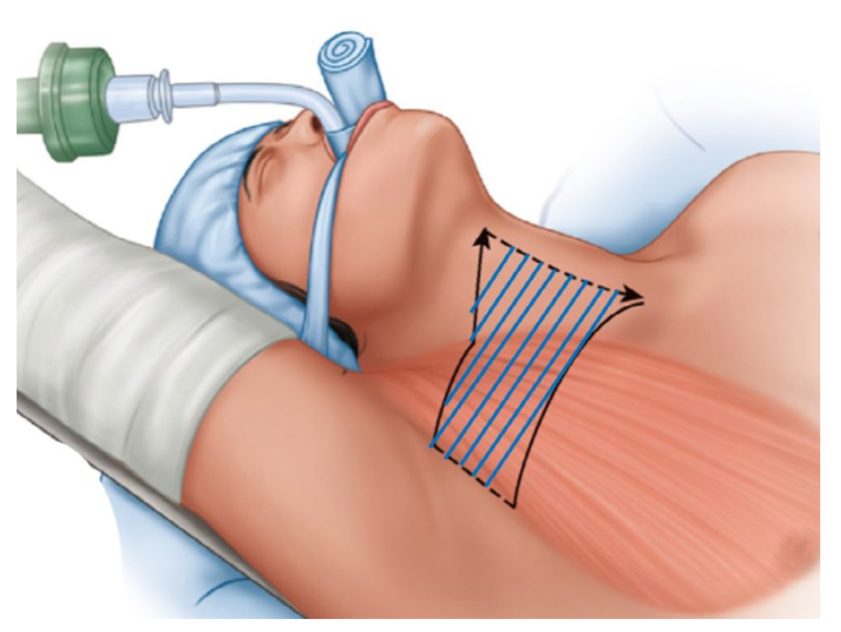 Cancers 14 04097 g002