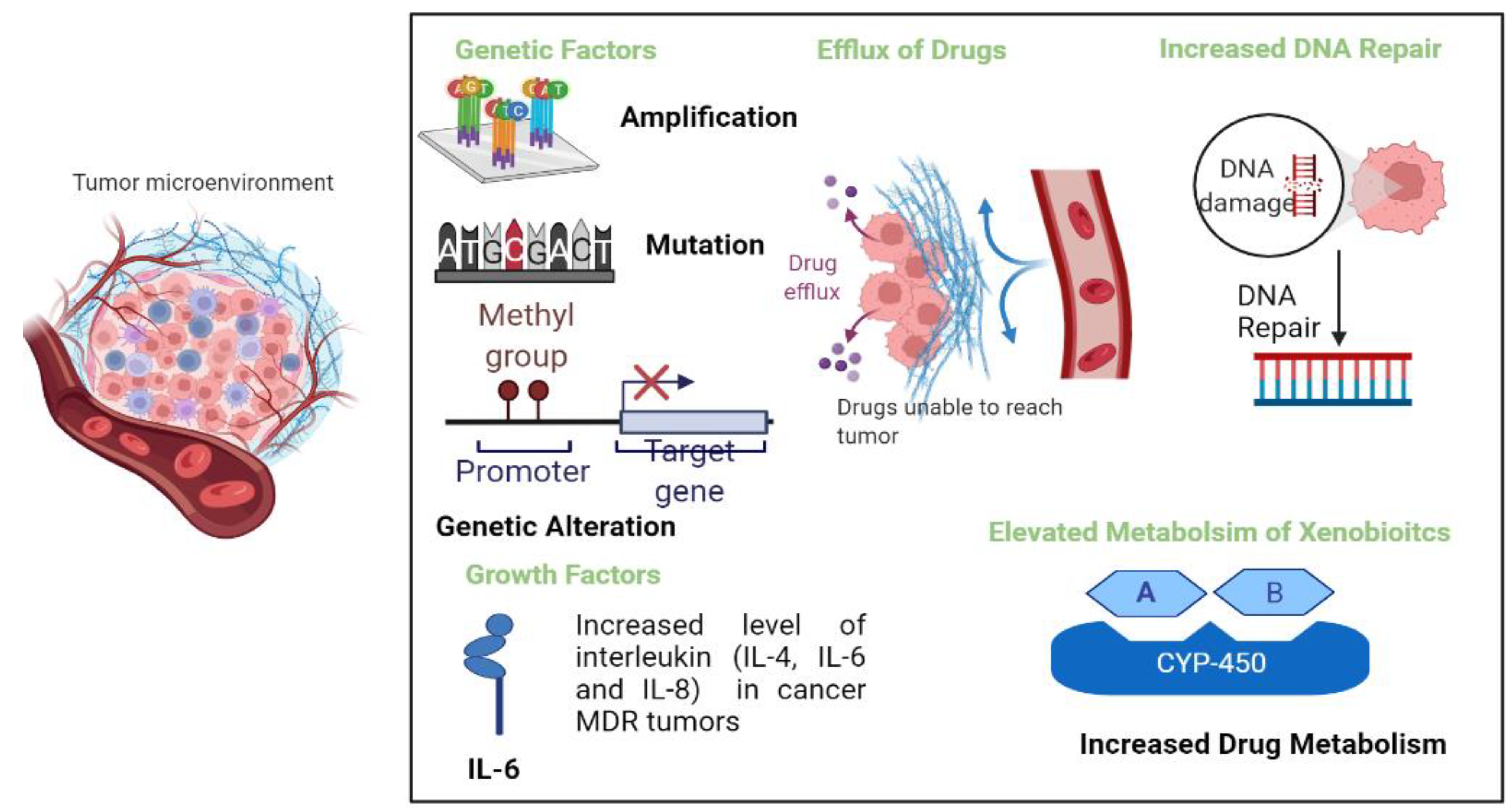 Cancers 14 04123 g001