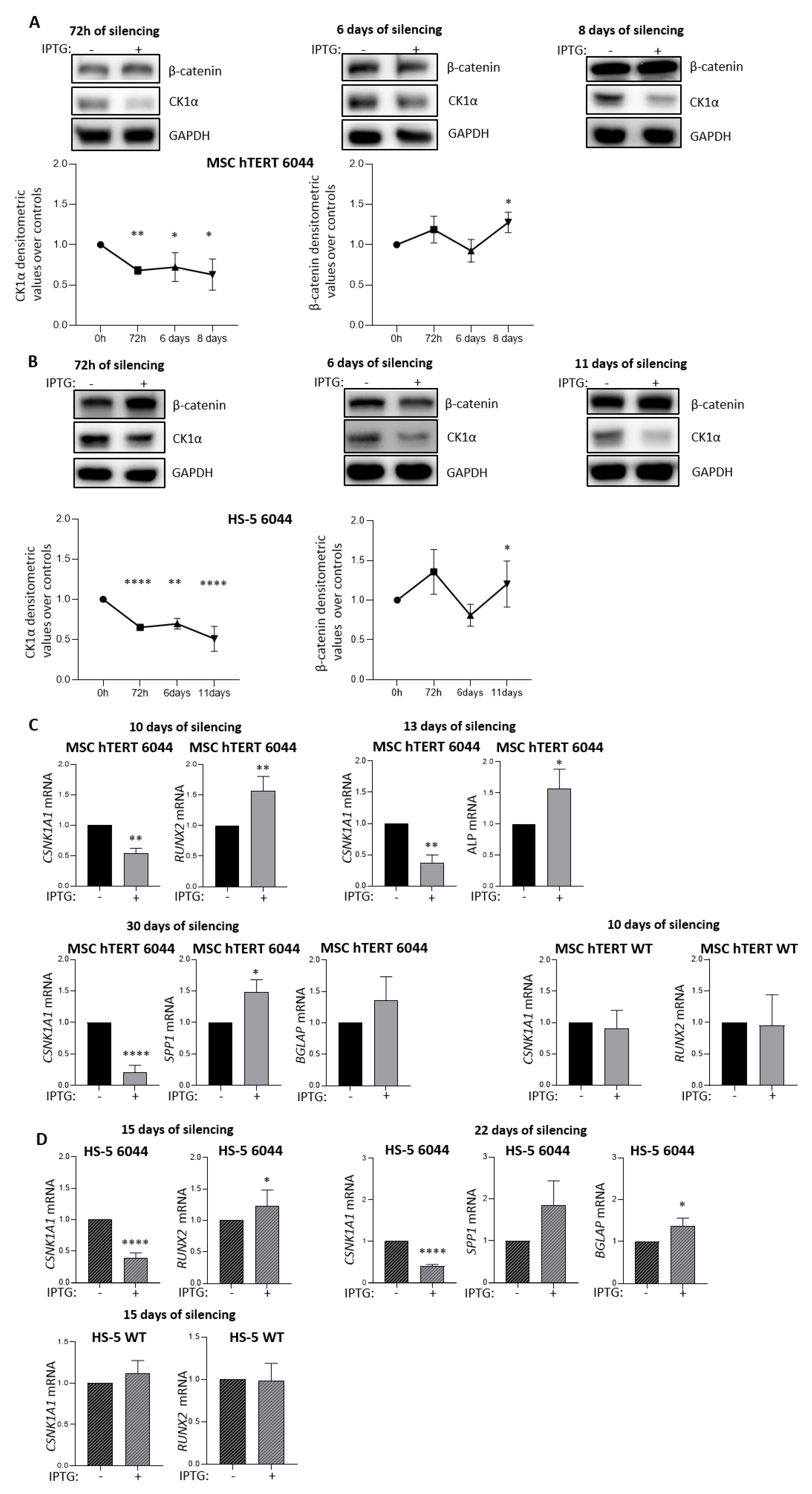 Cancers 14 04173 g001 Cancers 14 04173 g001