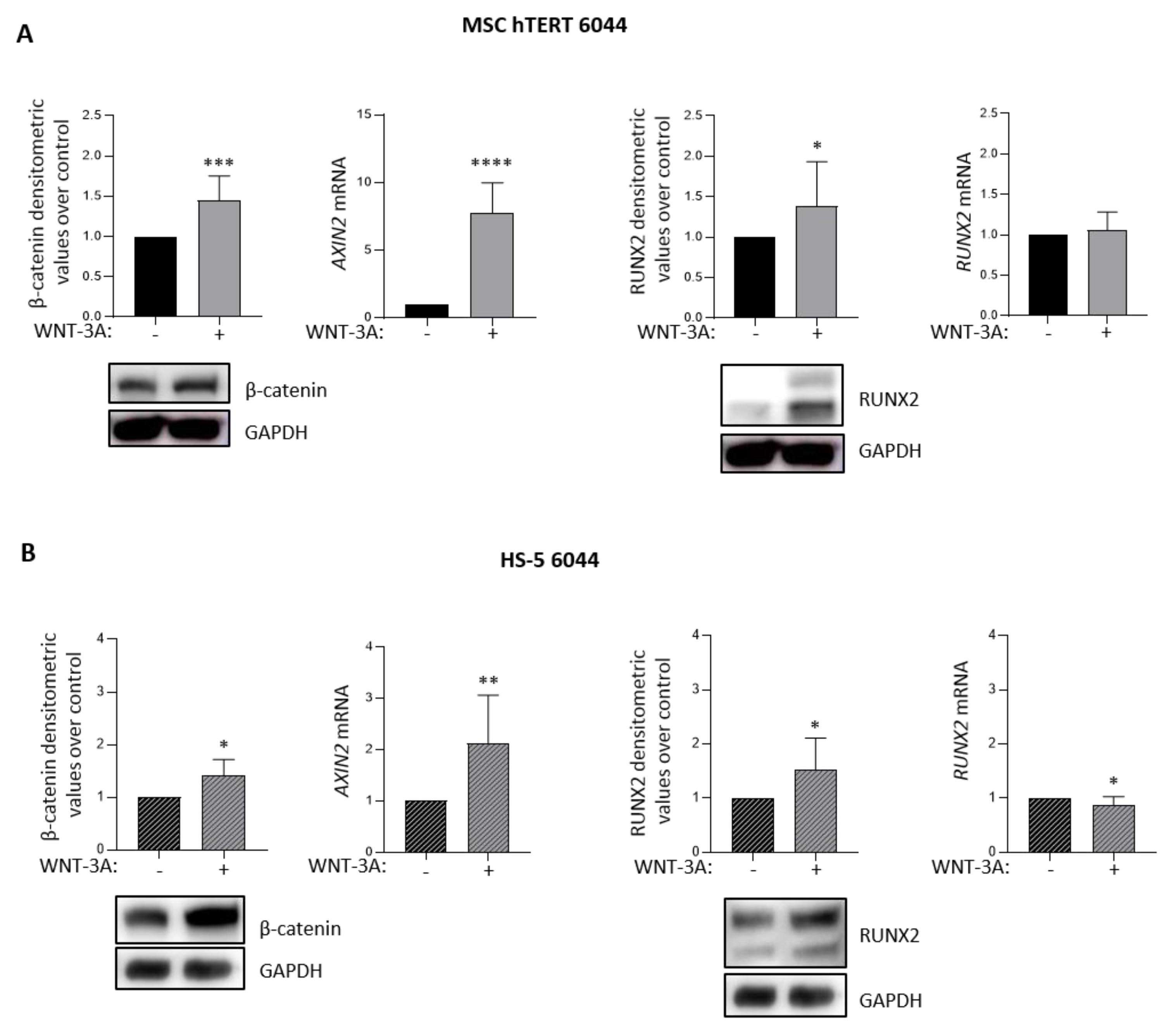 Cancers 14 04173 g002 Cancers 14 04173 g002