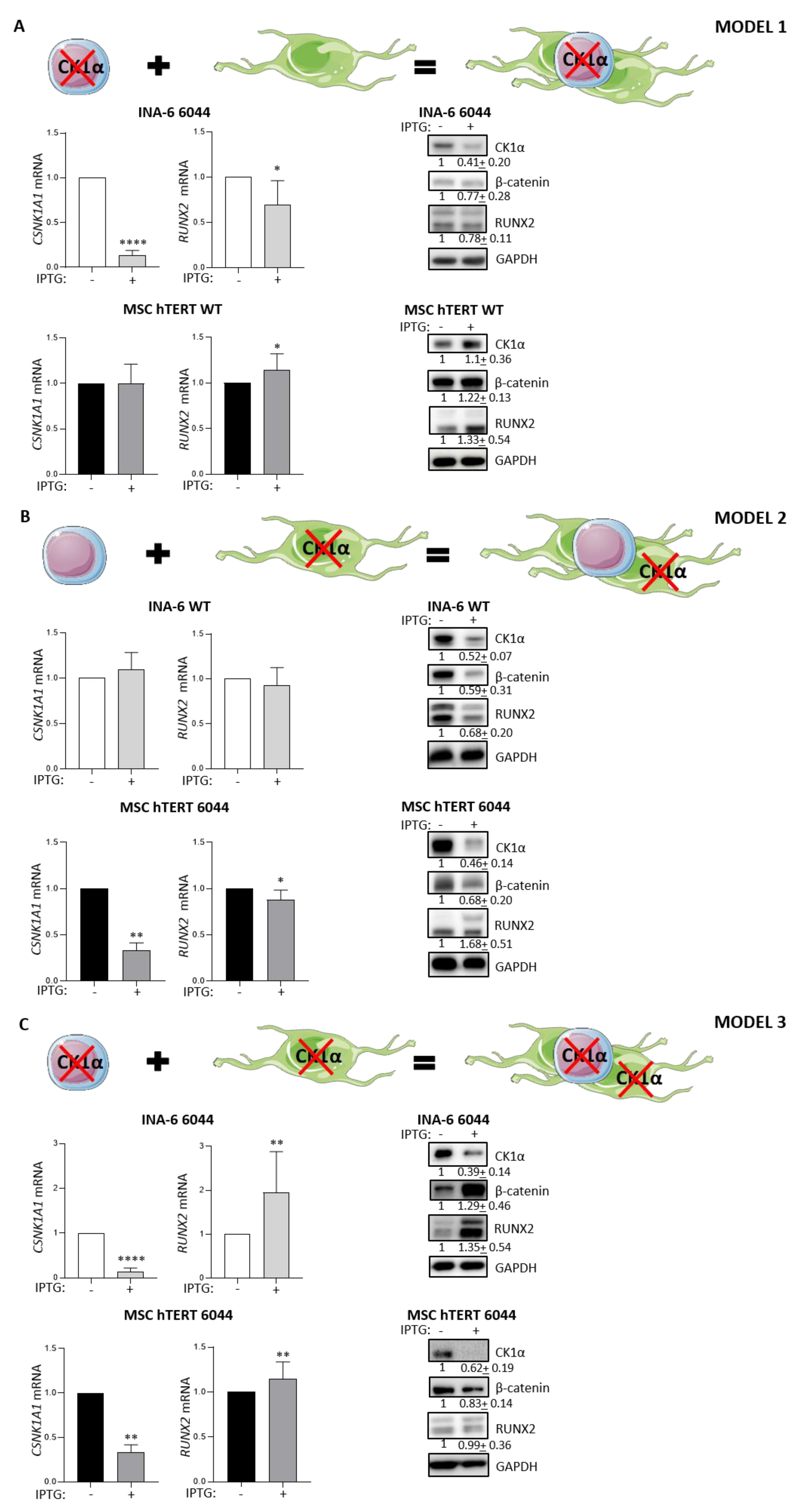 Cancers 14 04173 g003 Cancers 14 04173 g003