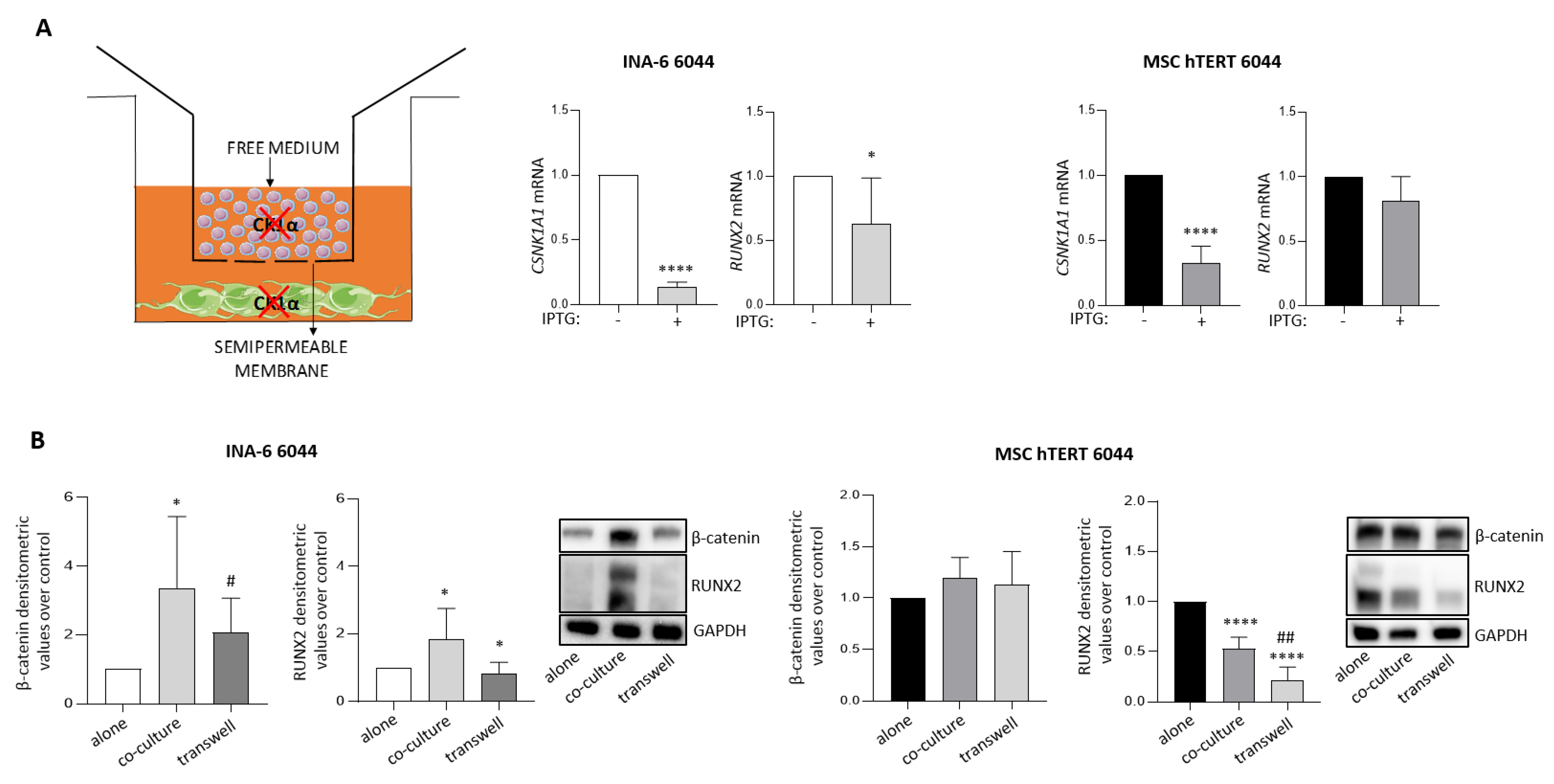 Cancers 14 04173 g004 Cancers 14 04173 g004