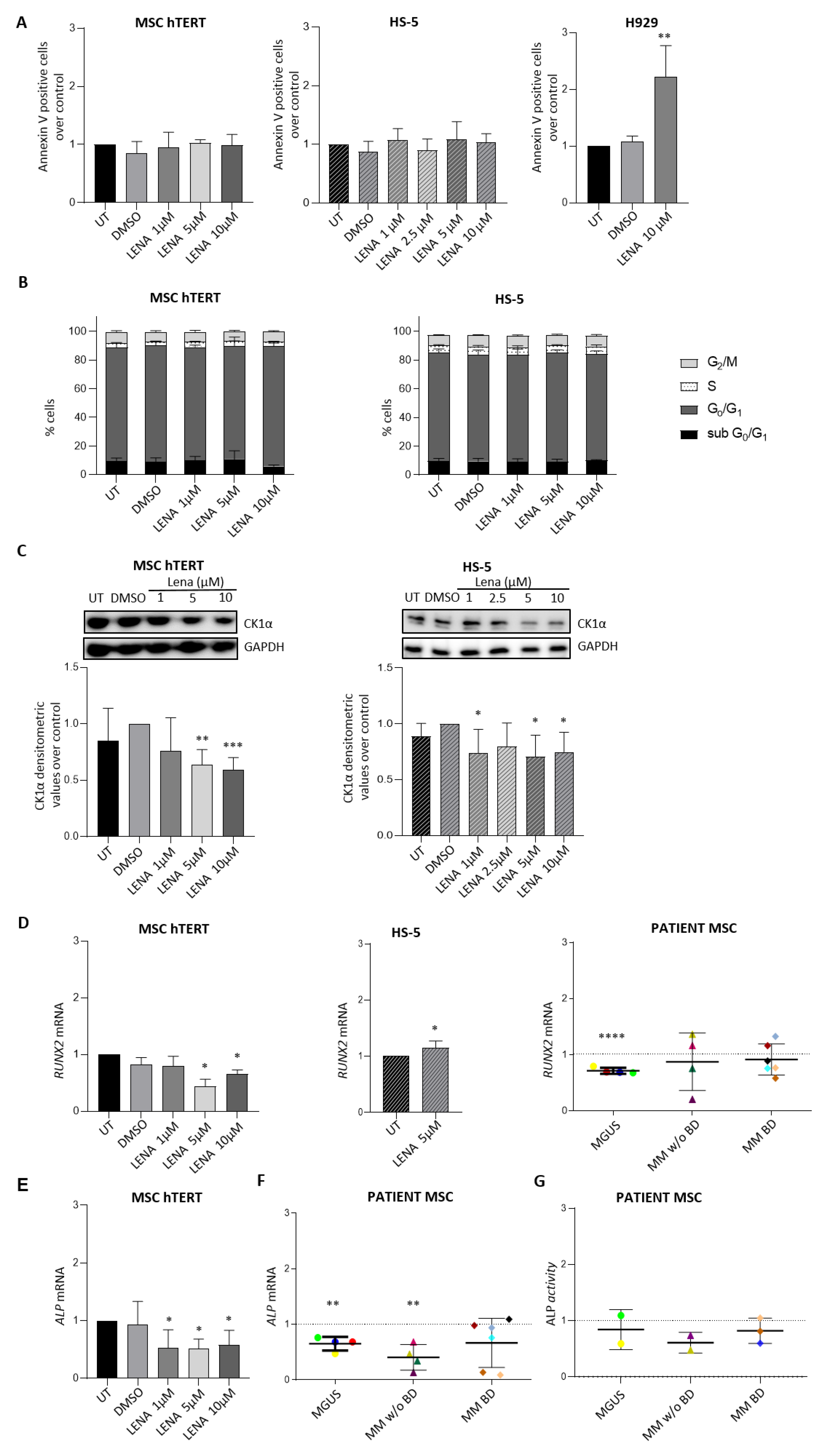 Cancers 14 04173 g005 Cancers 14 04173 g005