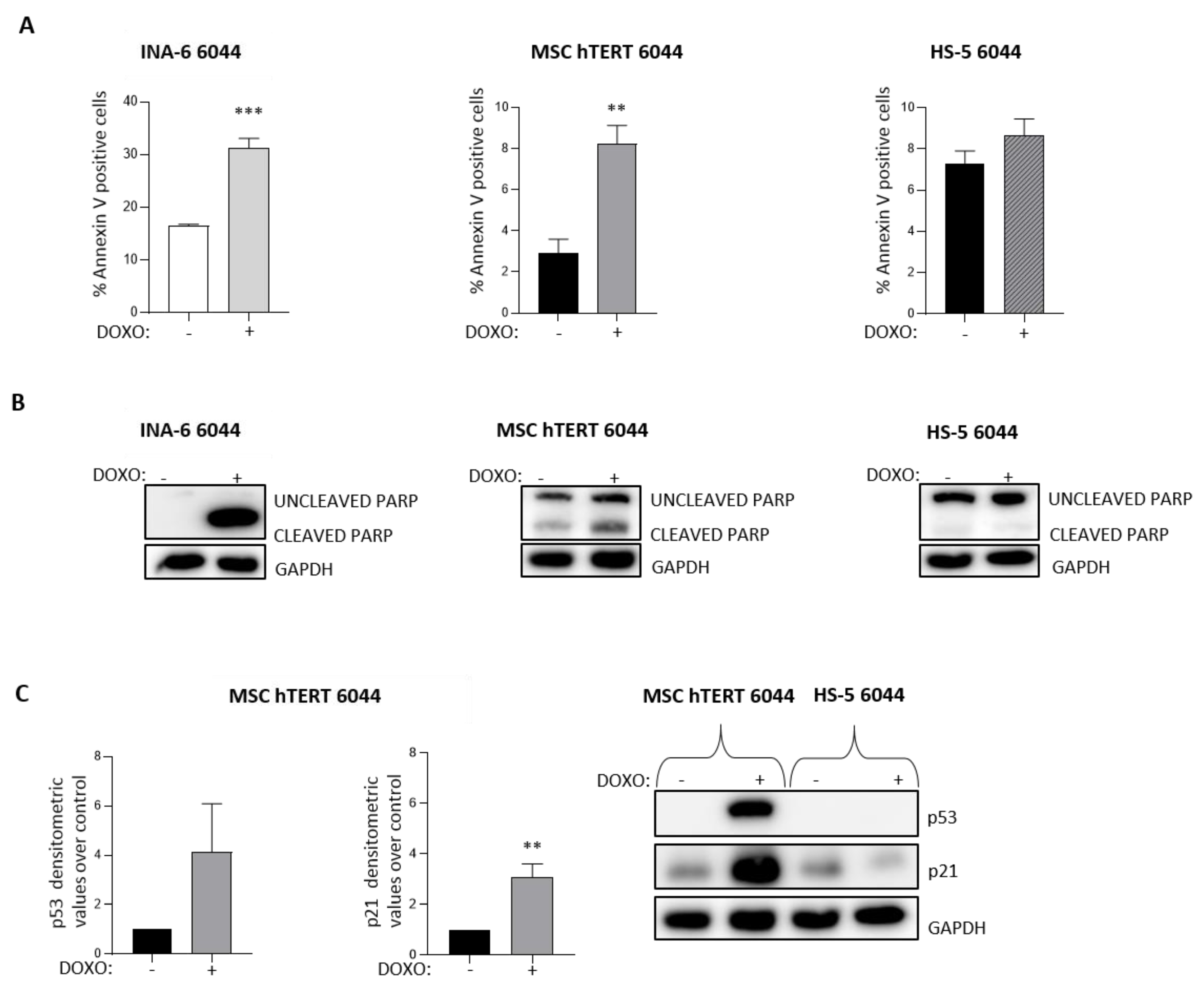 Cancers 14 04173 g006 Cancers 14 04173 g006