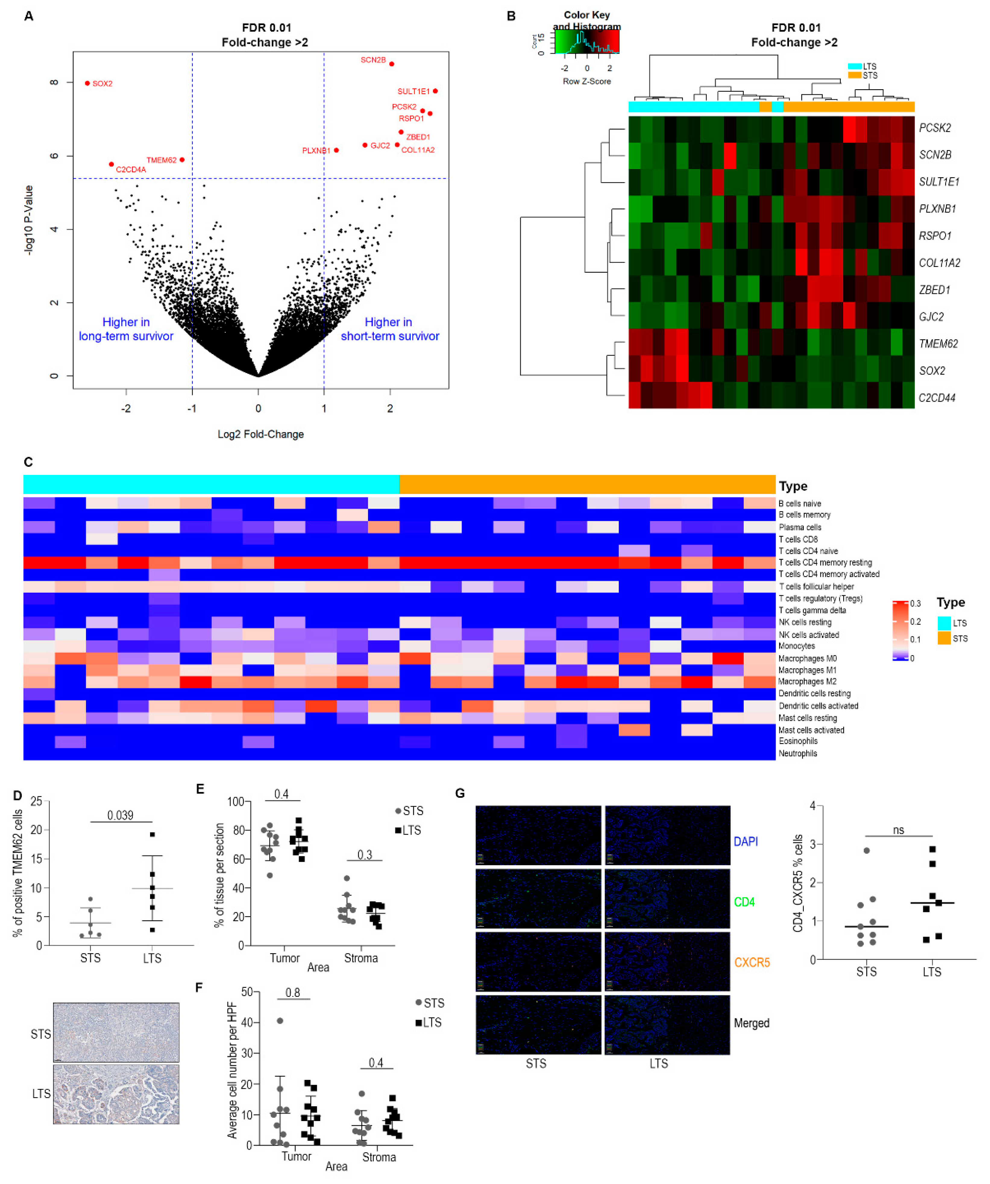 Cancers 14 04198 g001