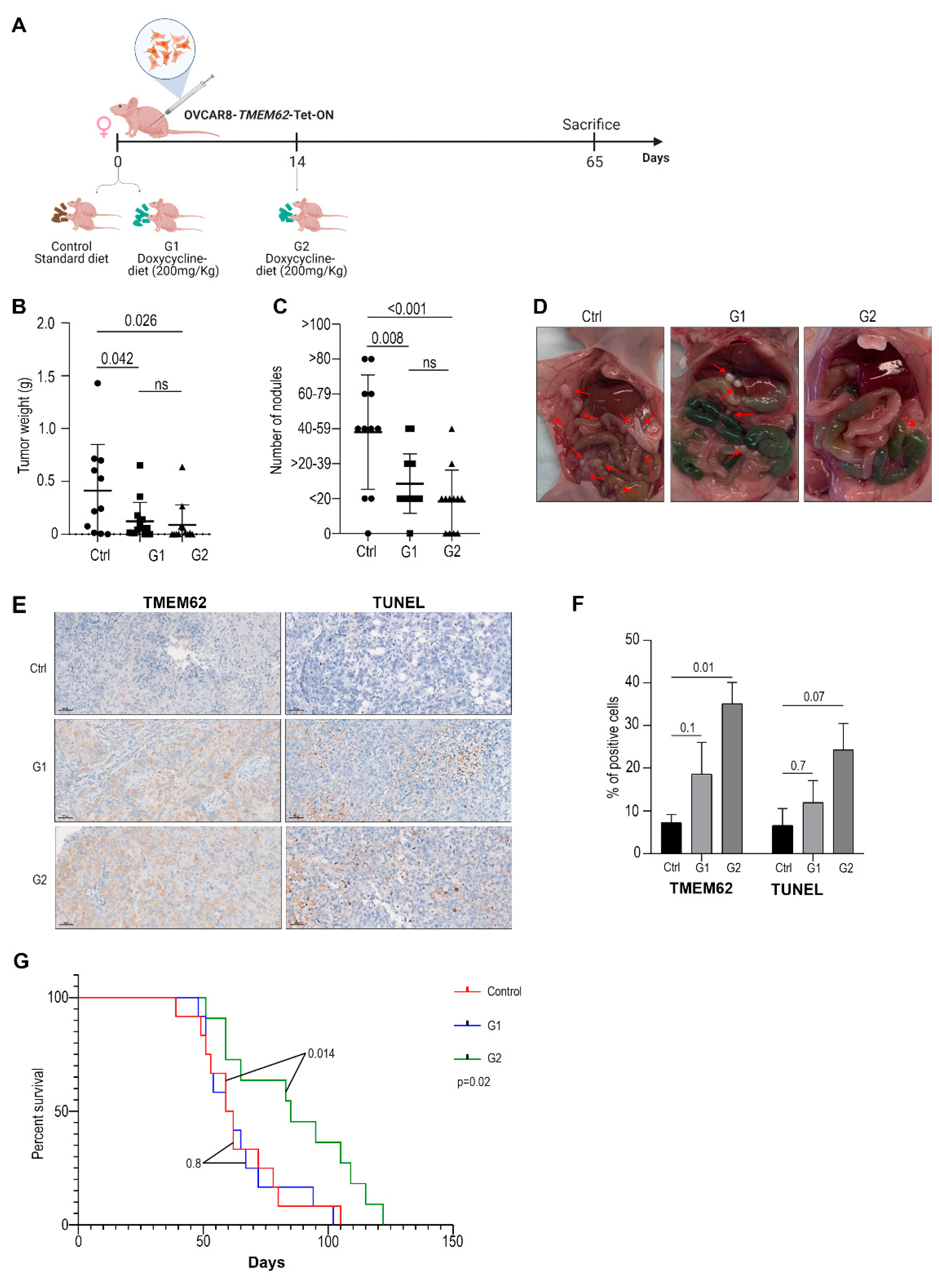 Cancers 14 04198 g003