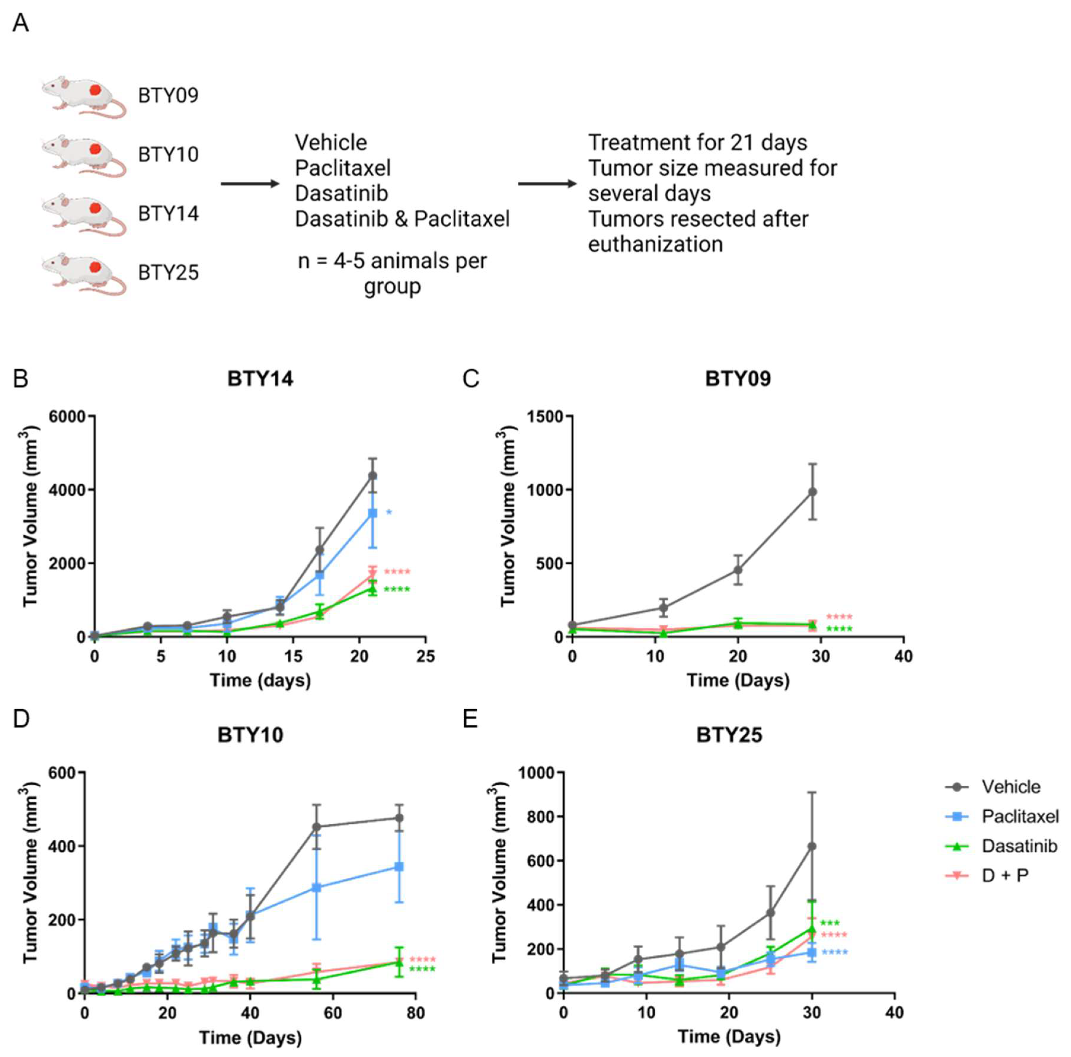 Cancers 14 04220 g002