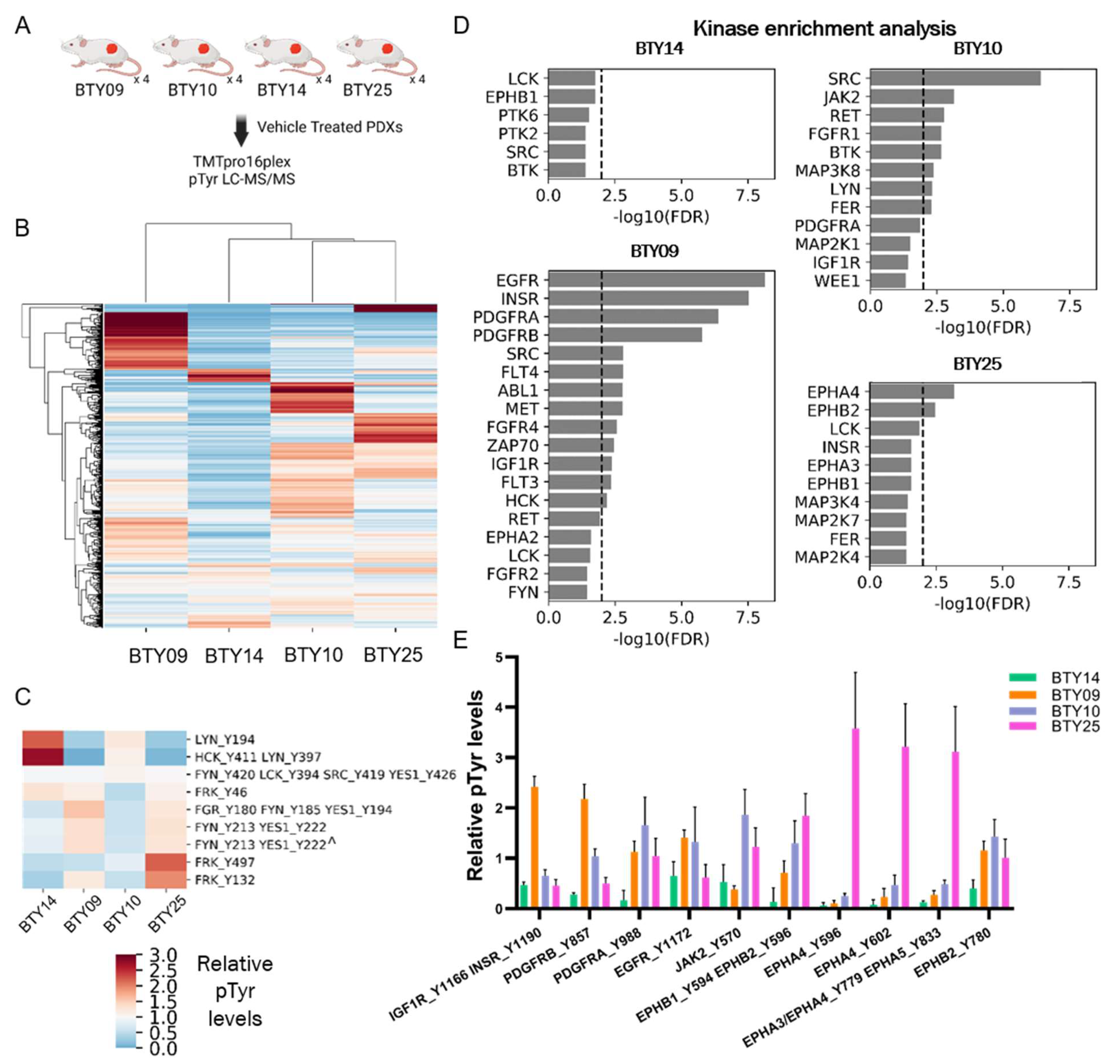 Cancers 14 04220 g003