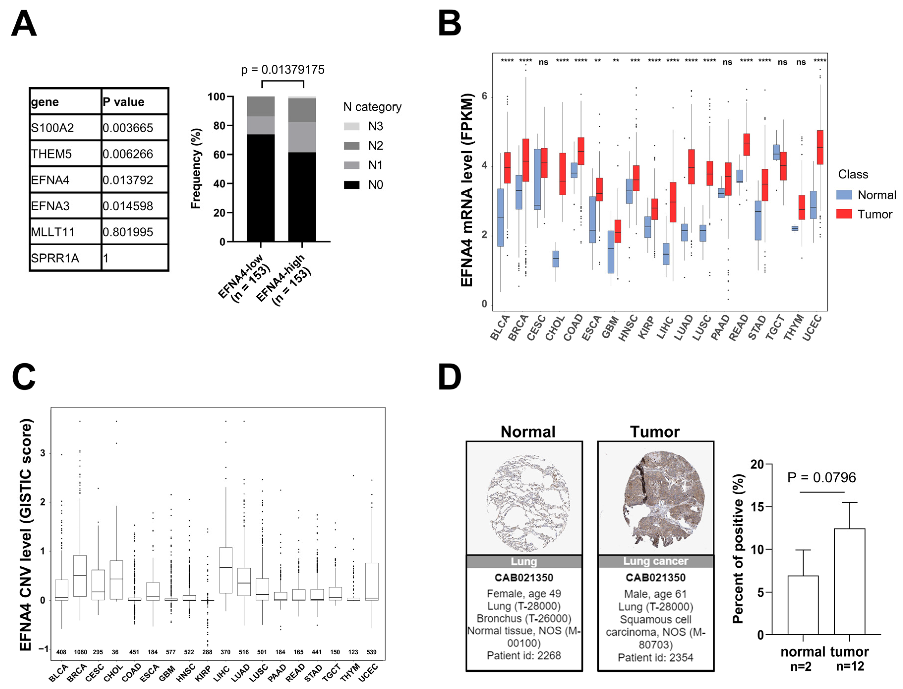 Cancers 14 04226 g001