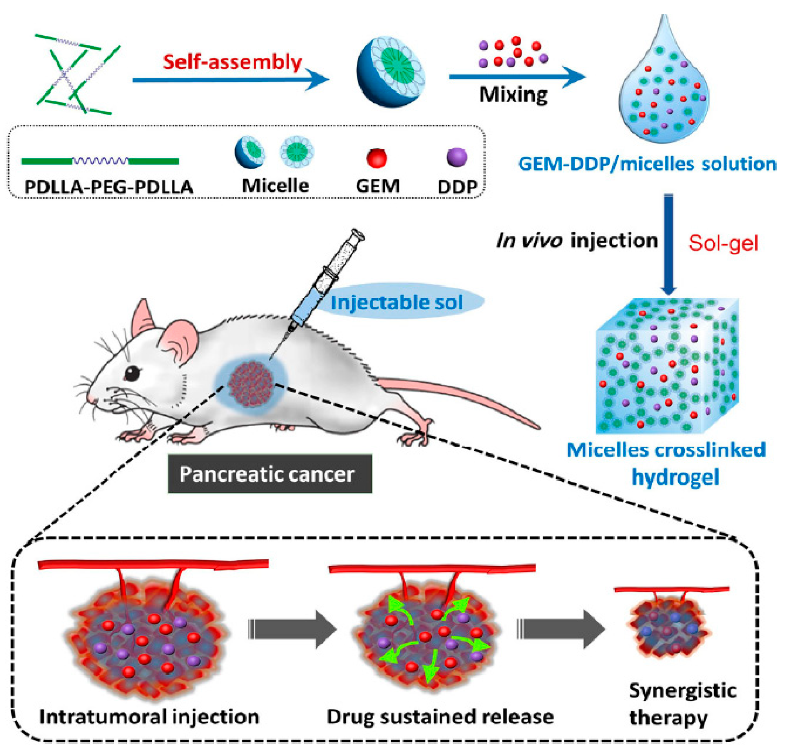 Cancers | Free Full-Text | Pancreatic Cancer: Challenges And ...