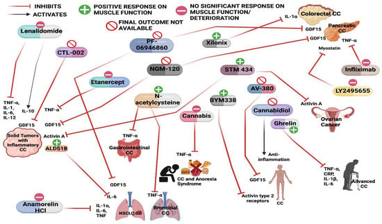 Uptake of FUPA in C38 and C26a Tumors.