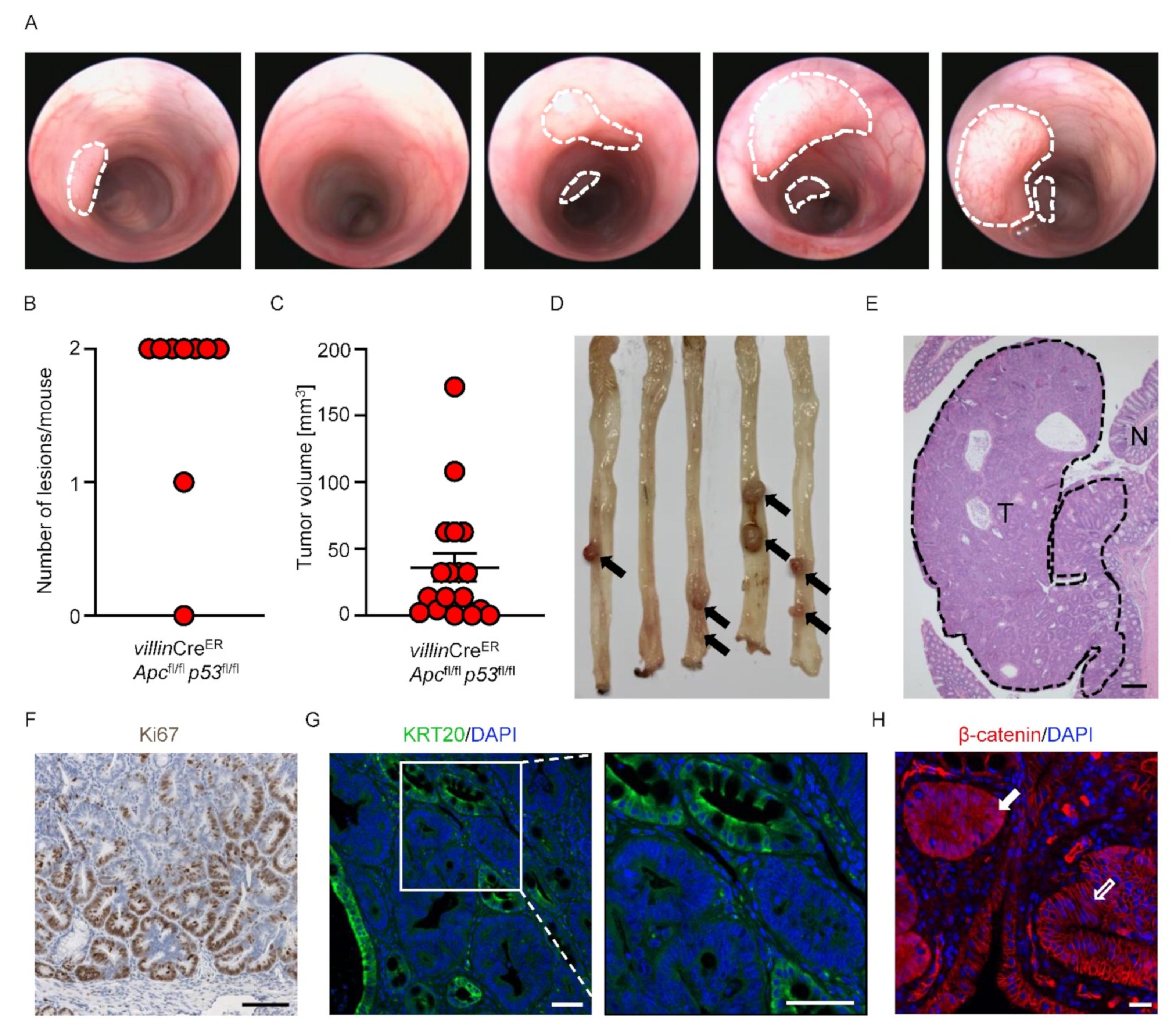 Cancers 14 04260 g002