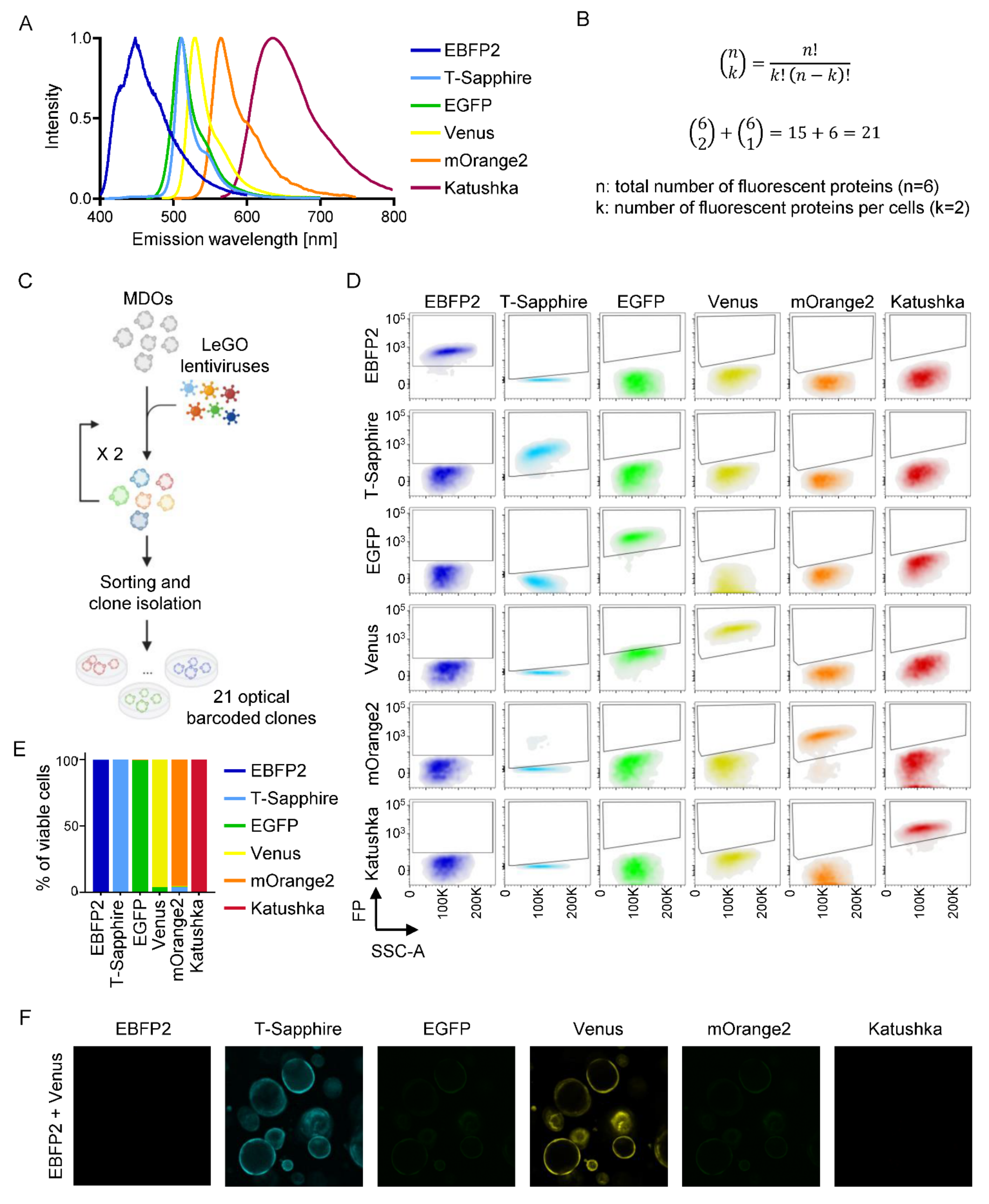 Cancers 14 04260 g005