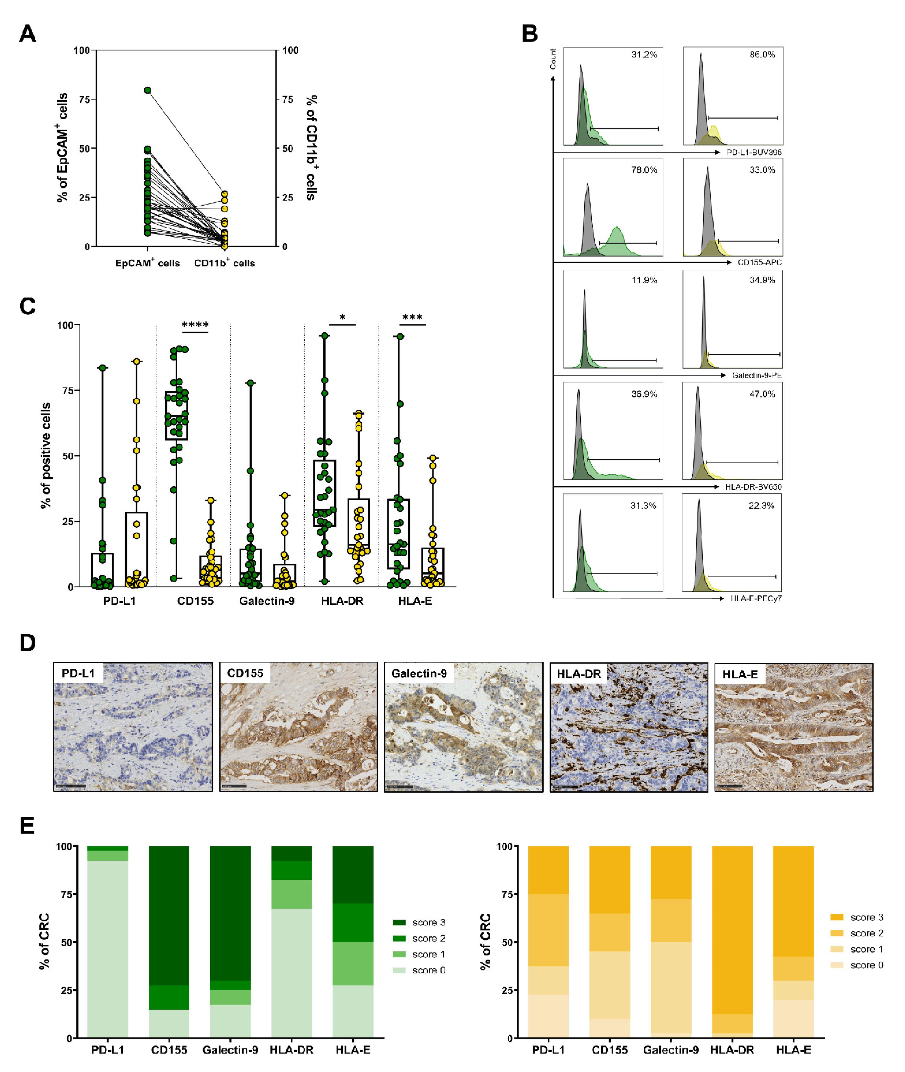 Cancers 14 04261 g005