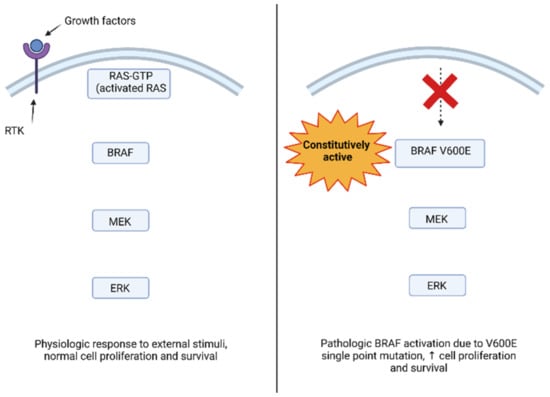 Frontiers  Genetic Evaluation of Growth and Survival-Related