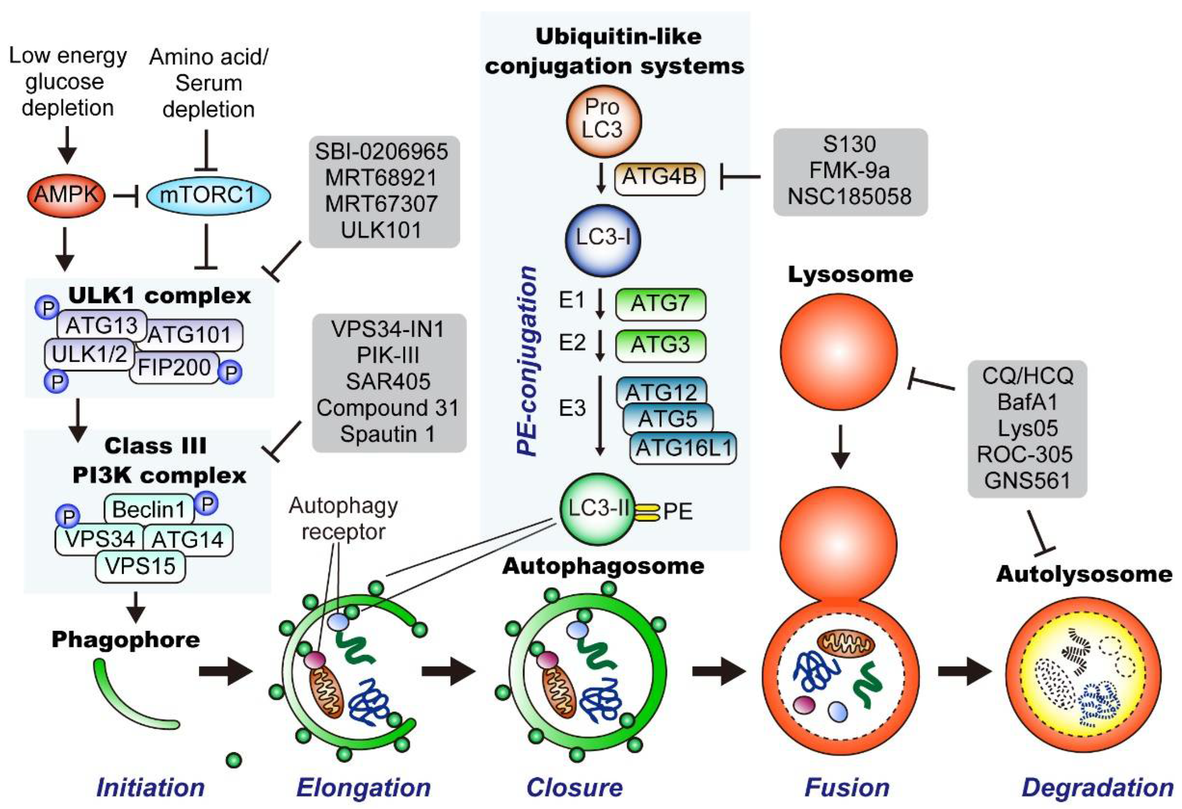 Cancers 14 04351 g003