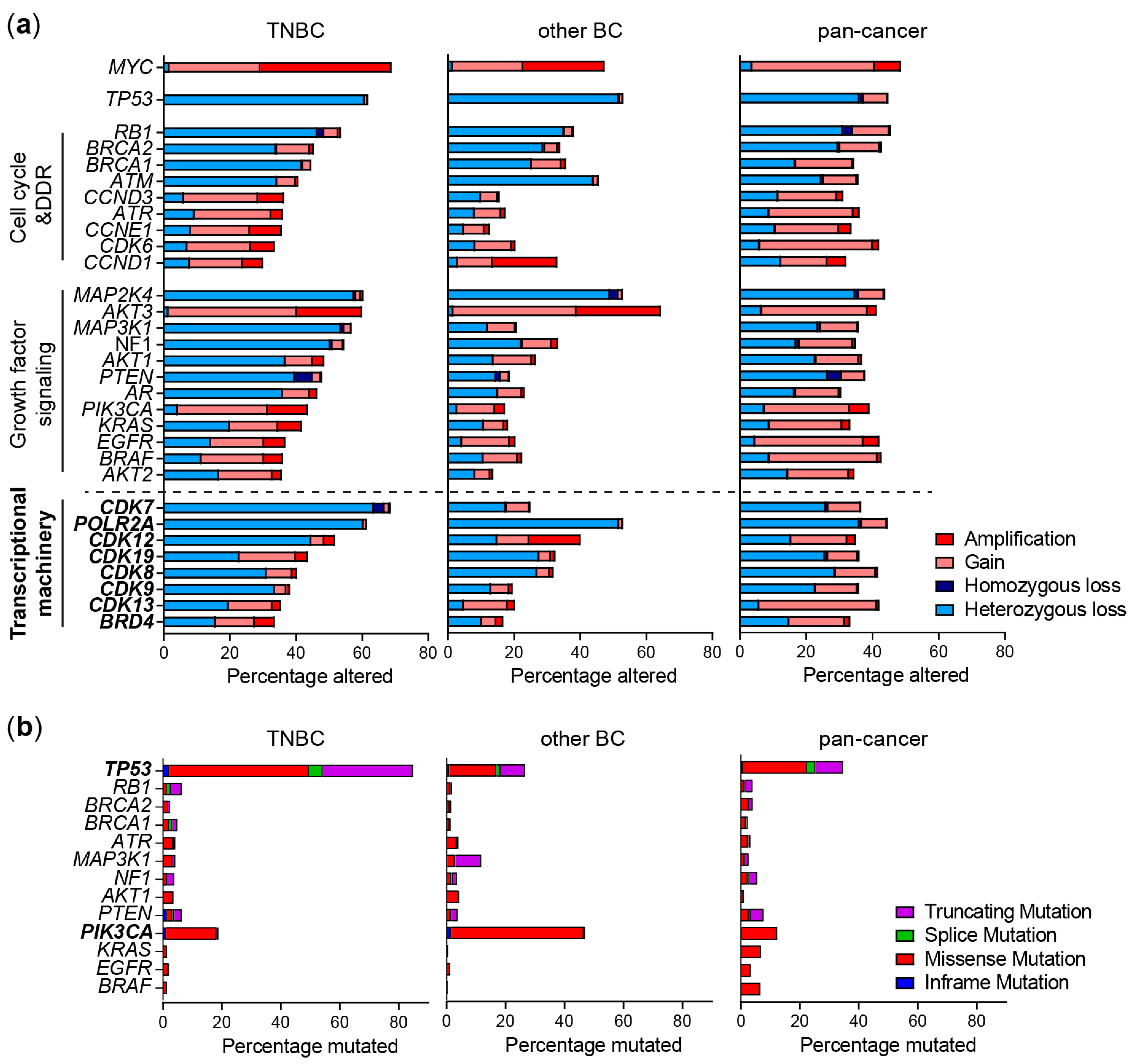 Defining super-enhancer landscape in triple-negative breast cancer