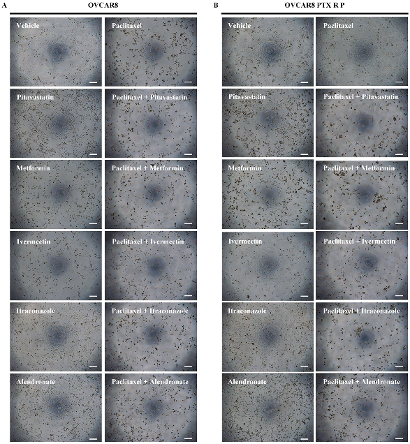 Cancers 14 04357 g003 Cancers 14 04357 g003