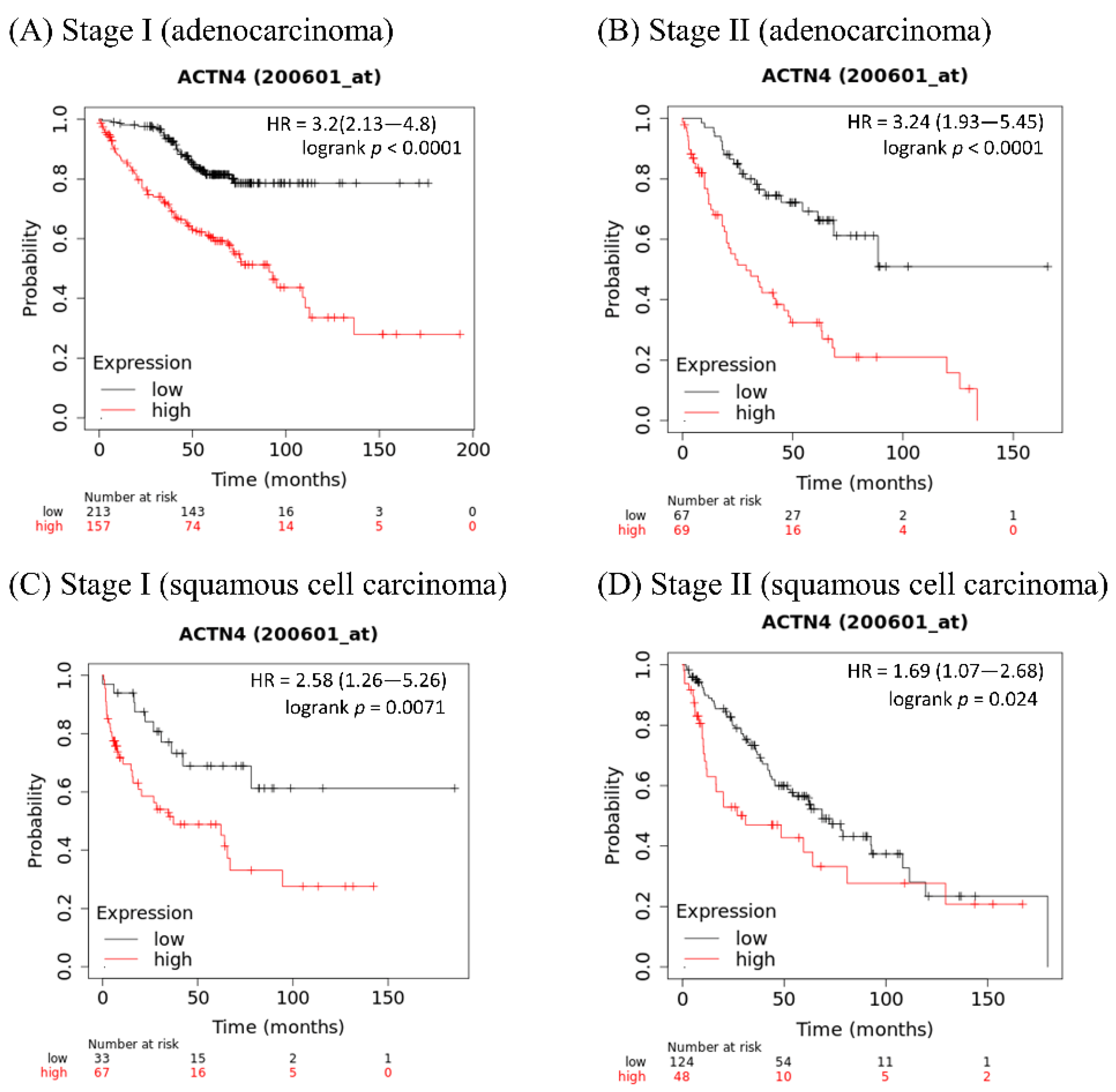 PDF) ACTN4 gene amplification is a predictive biomarker for