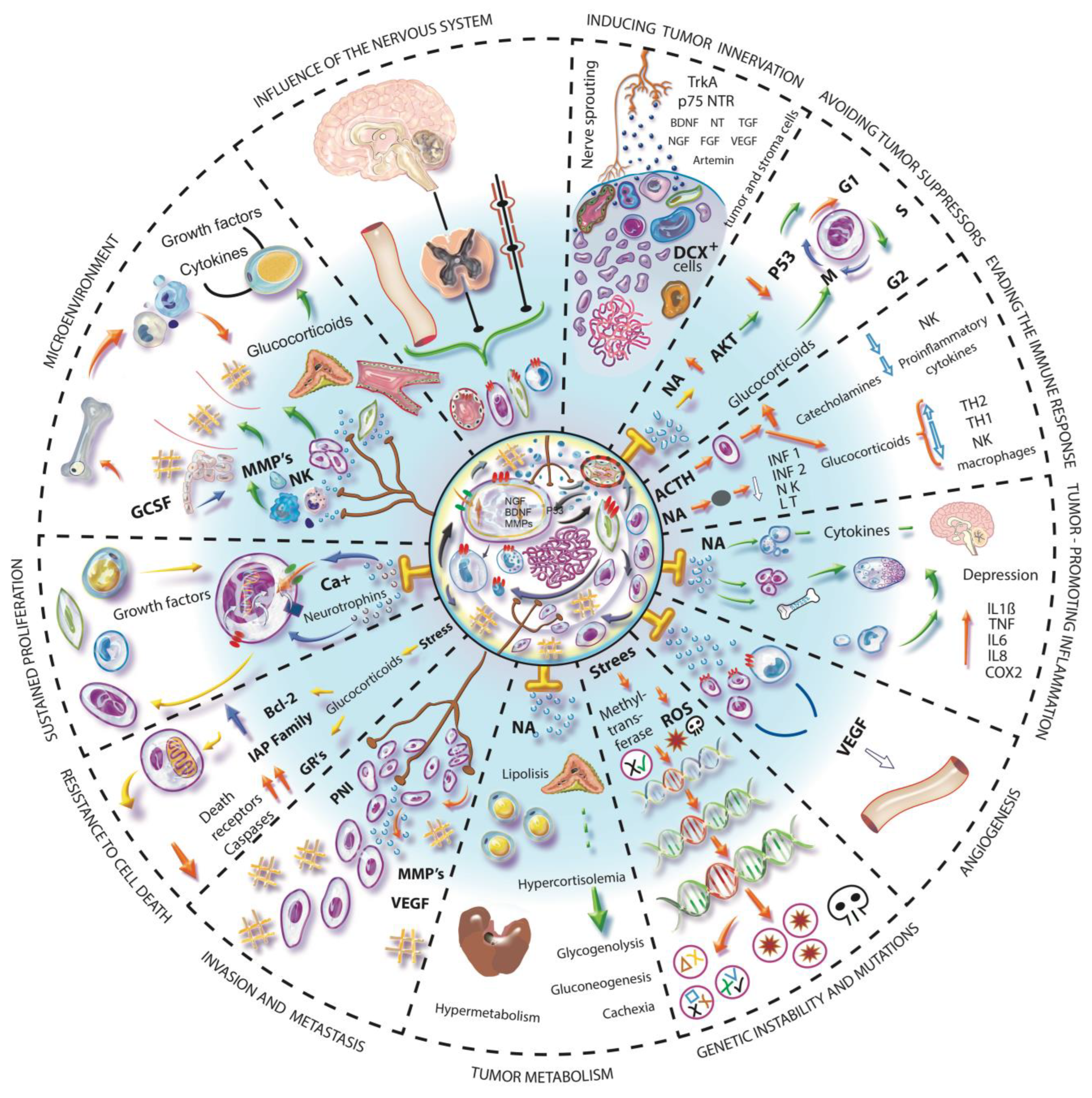 Cancers 14 04372 g002 Cancers 14 04372 g002