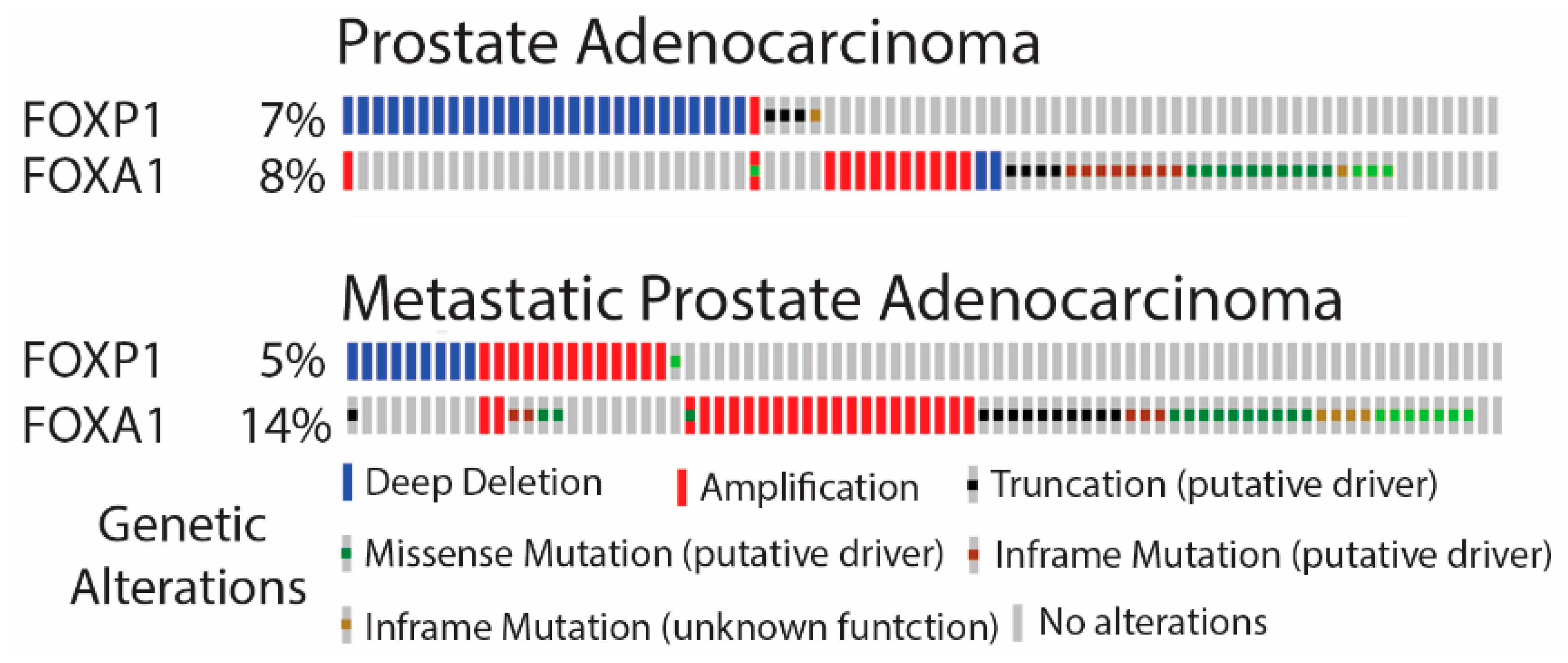 Cancers 14 04381 g001