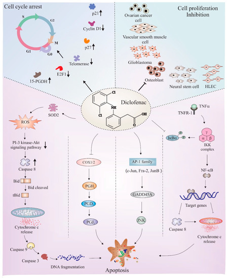 Cancers | Free Full-Text | Development and Challenges of Diclofenac-Based  Novel Therapeutics: Targeting Cancer and Complex Diseases