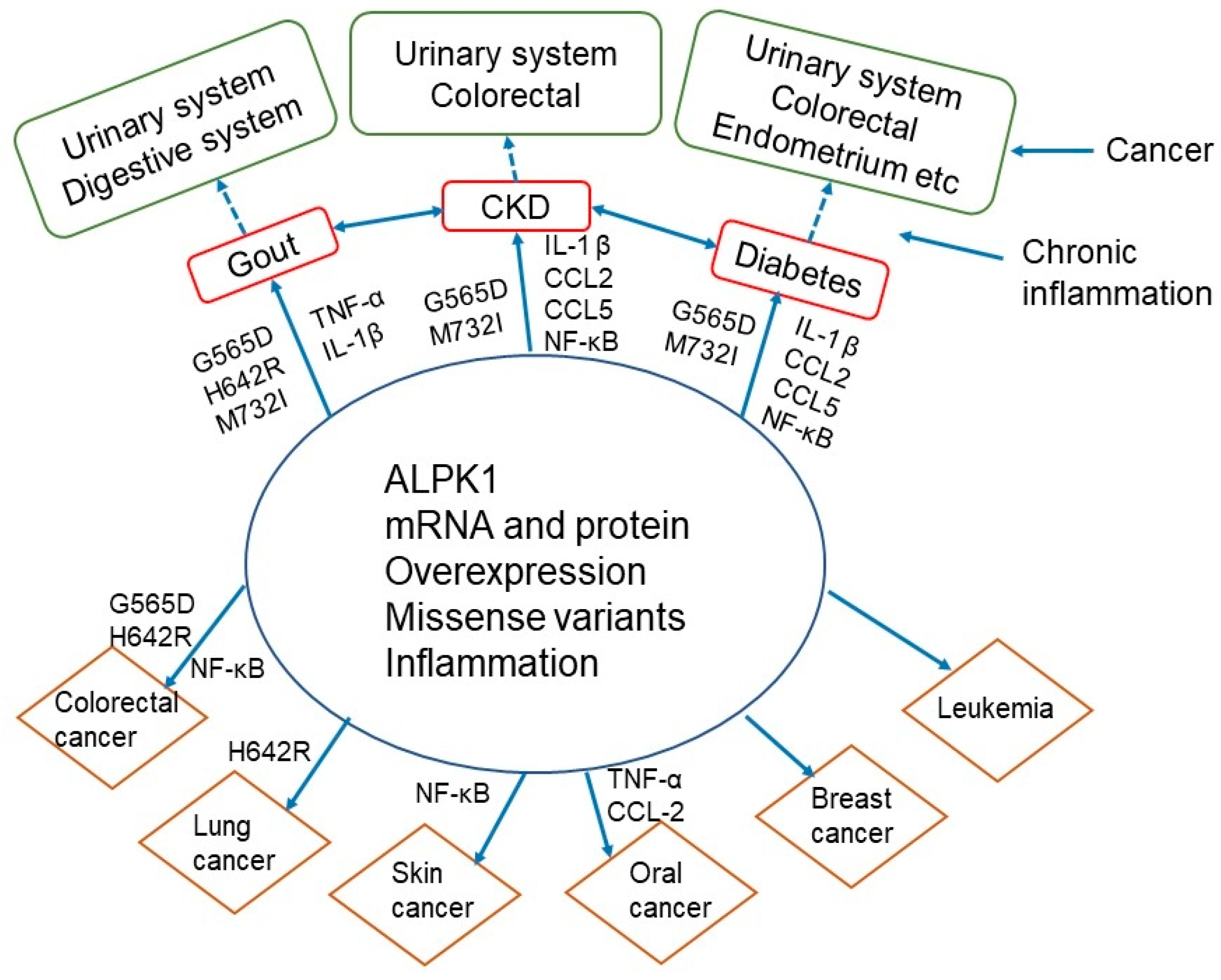 Cancers 14 04390 g003