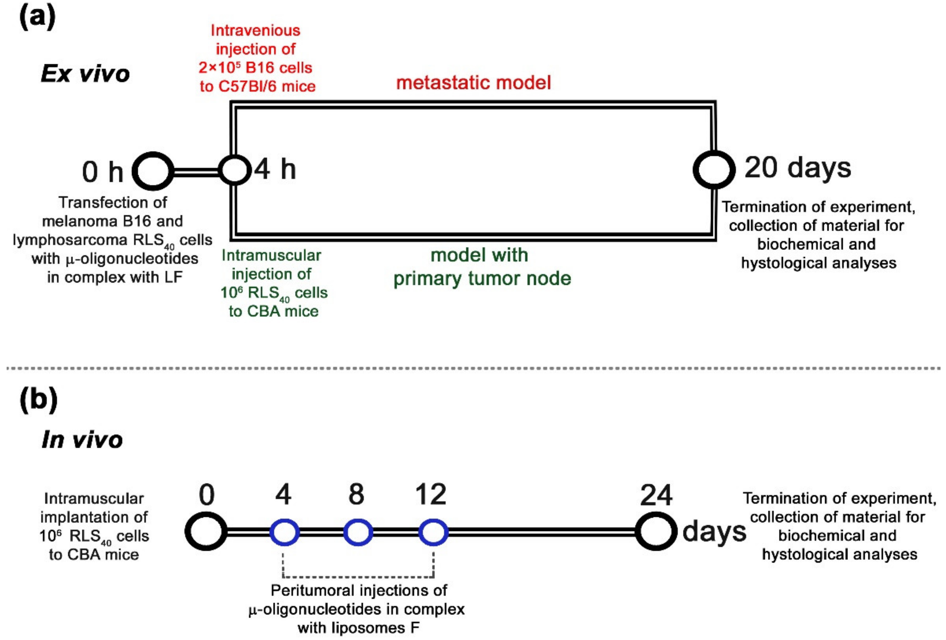 Cancers 14 04396 g004