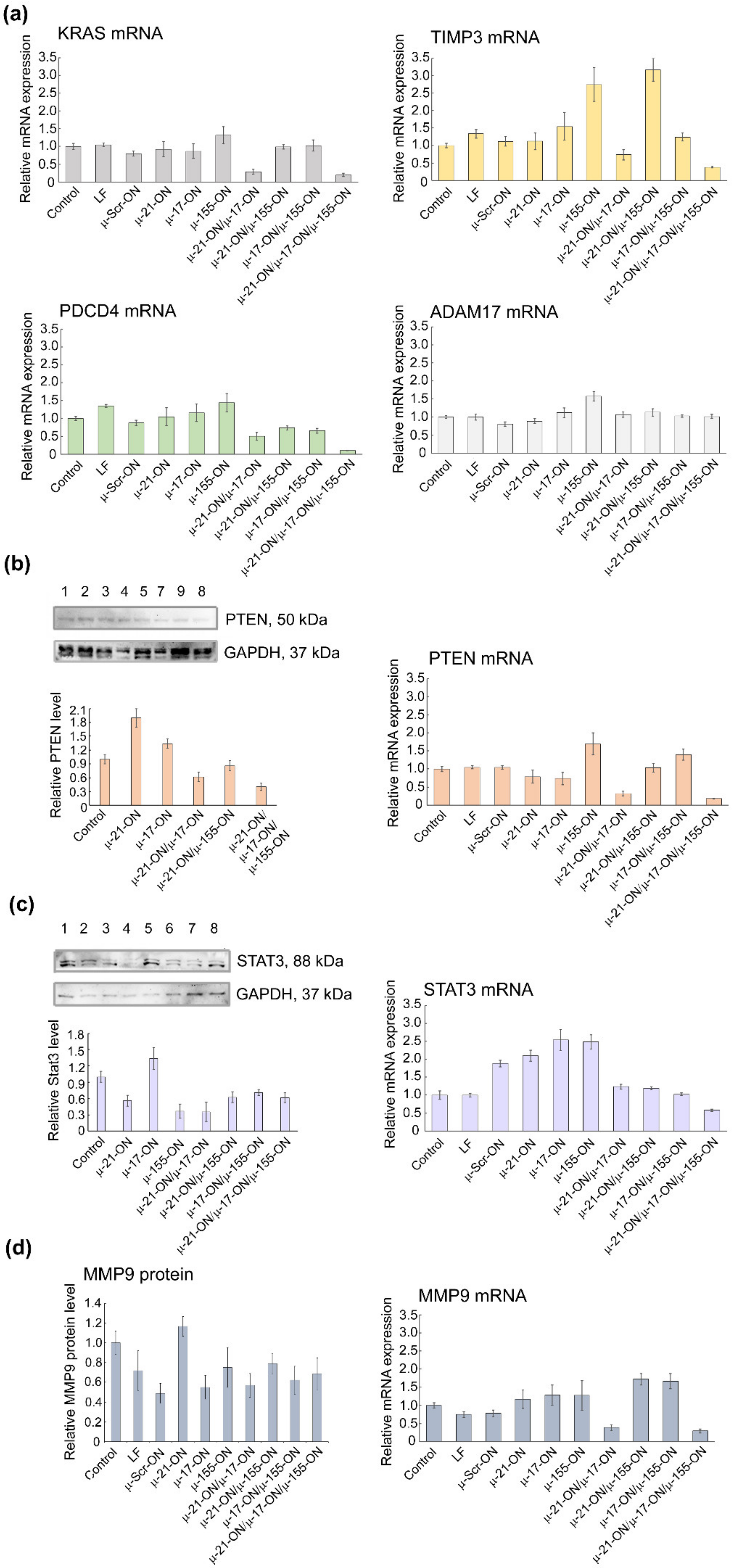 Cancers 14 04396 g010