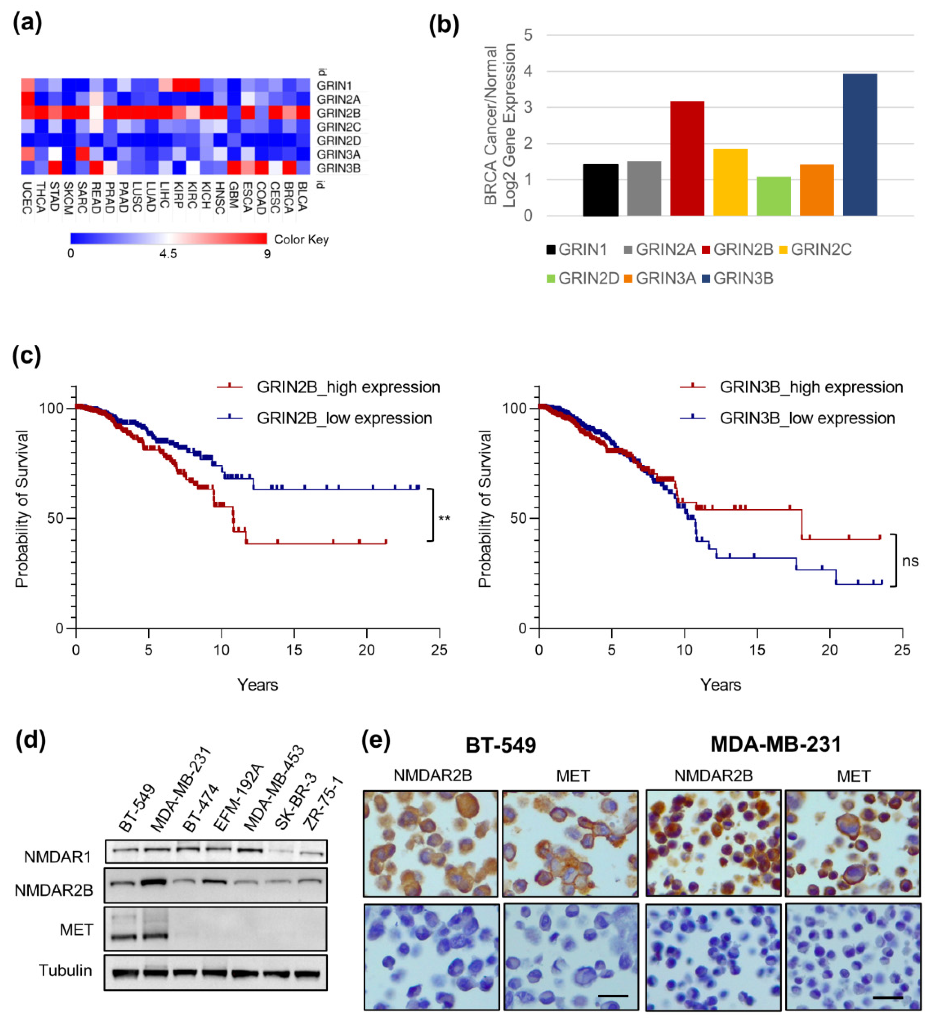 Cancers 14 04408 g001